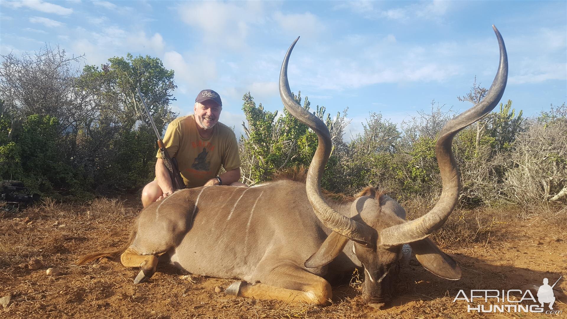 Kudu Hunting South Africa