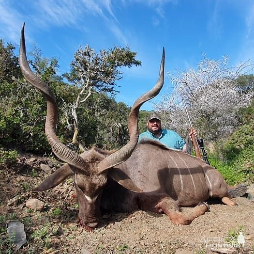 Kudu Hunting South Africa