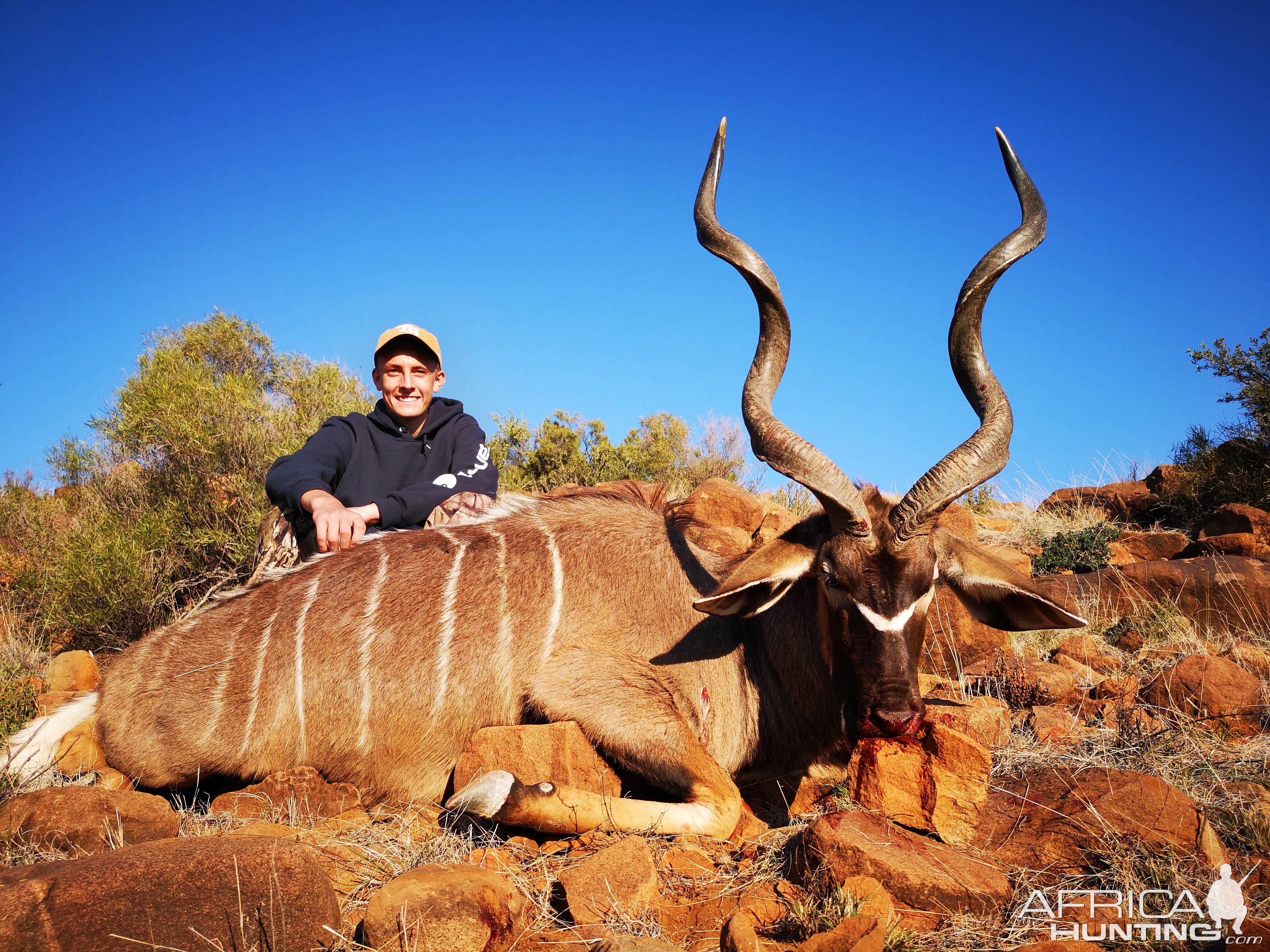 Kudu Hunting South Africa