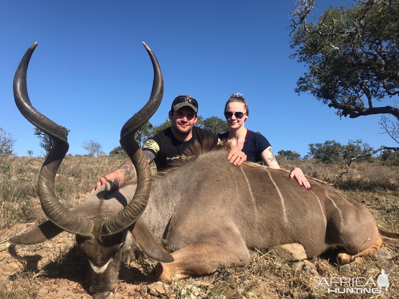 Kudu Hunting South Africa