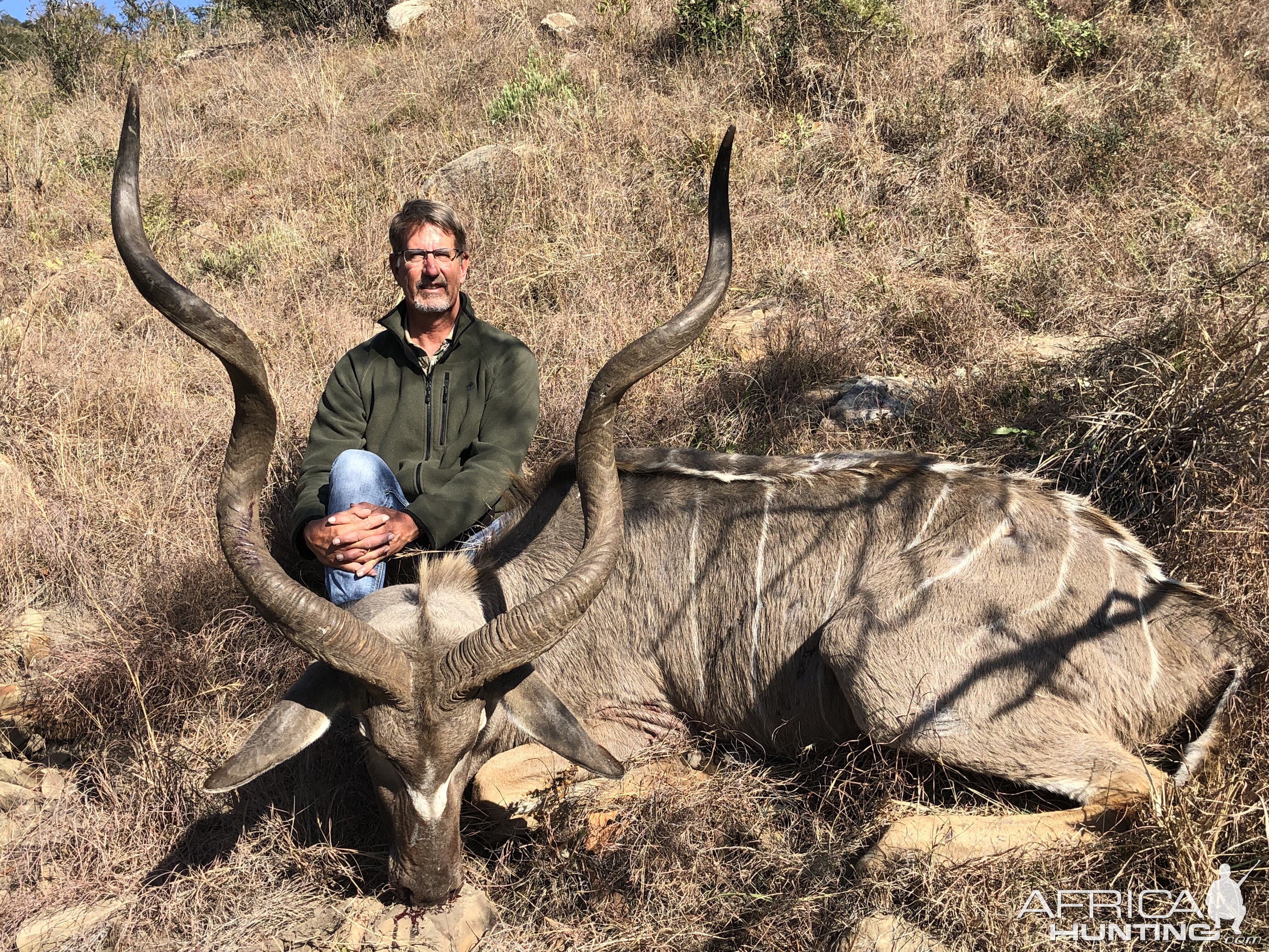 Kudu Hunting South Africa