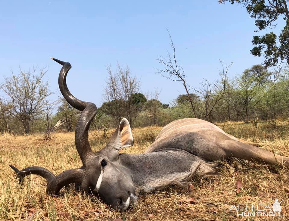 Kudu Hunting Tanzania