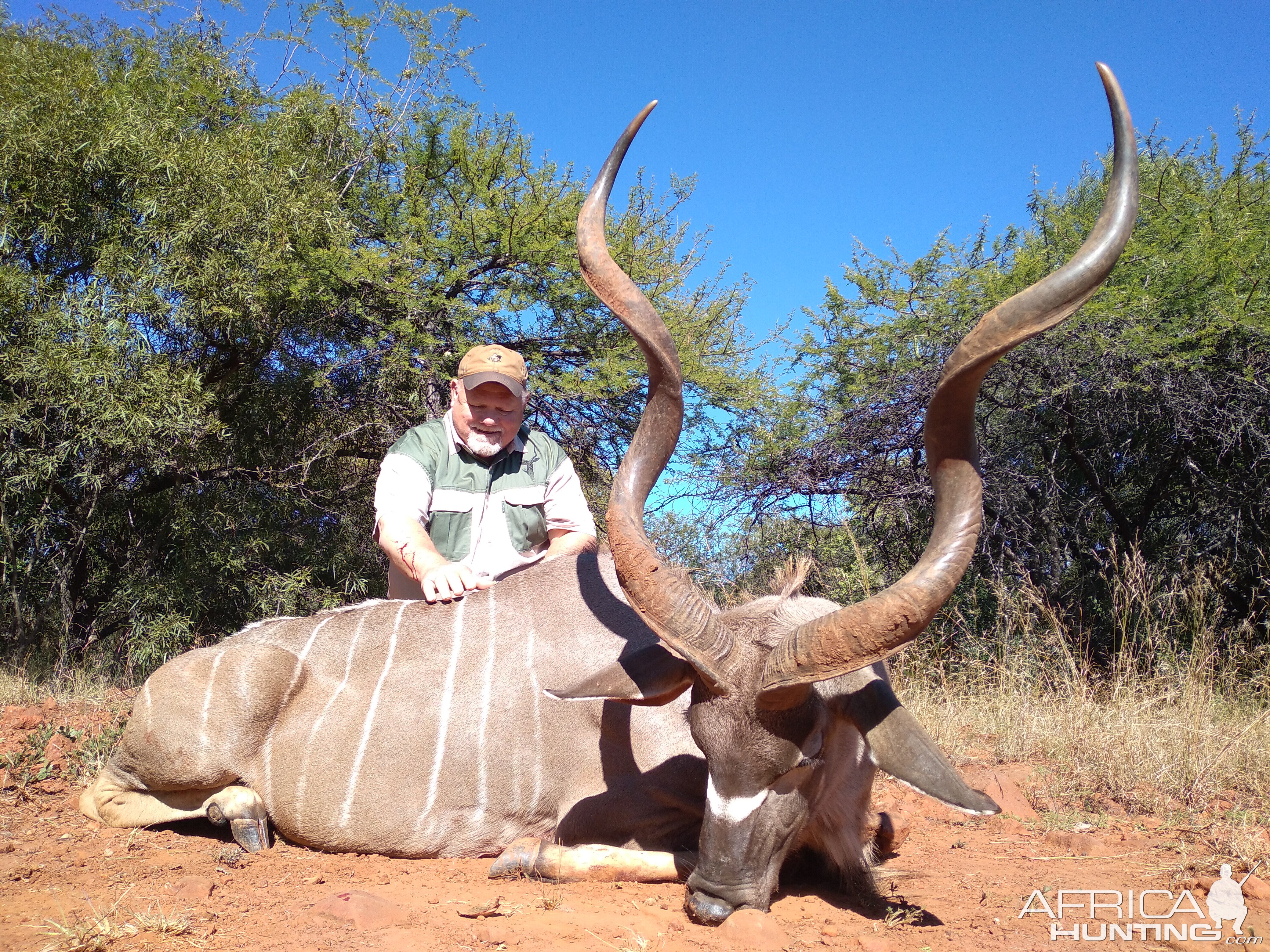 Kudu Hunting