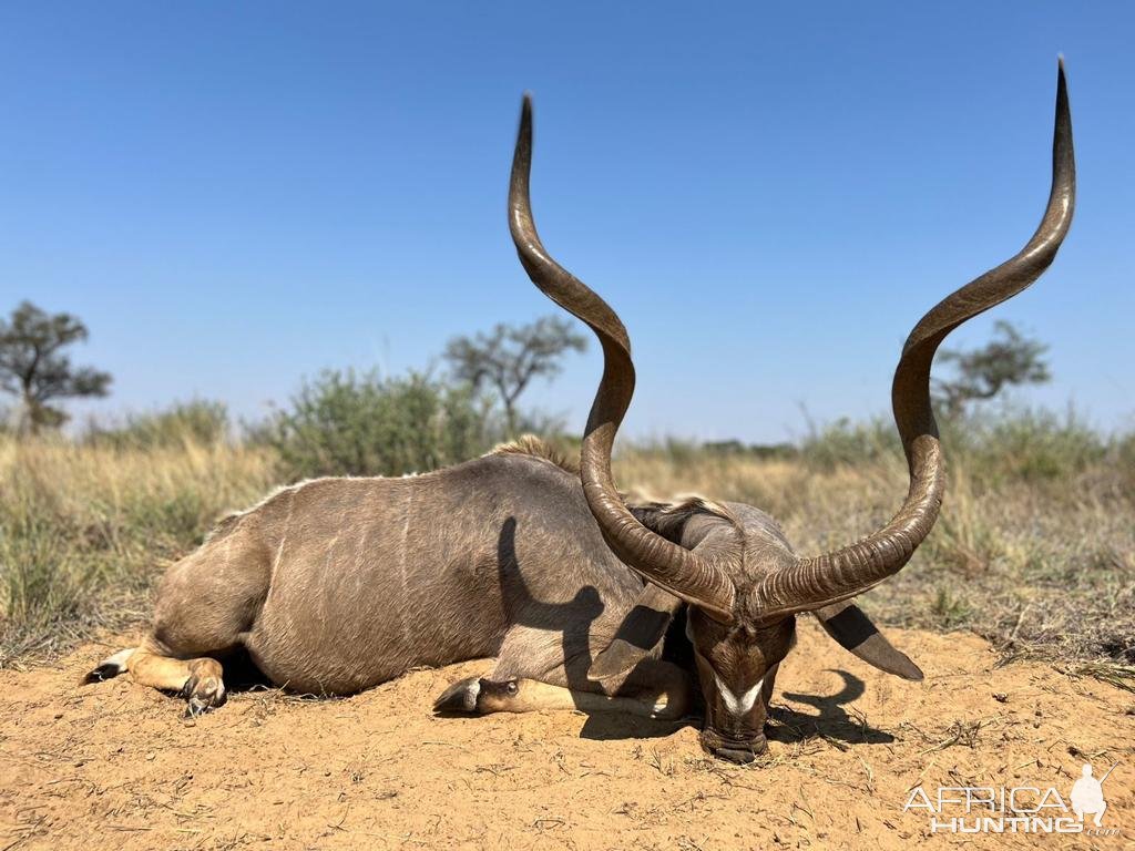 Kudu Hunting