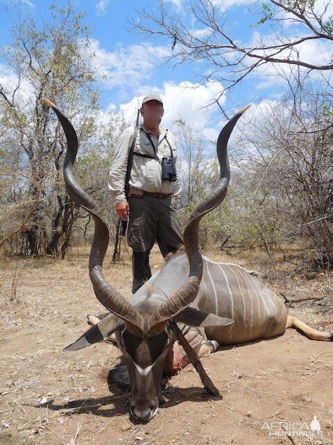 Kudu Hunting