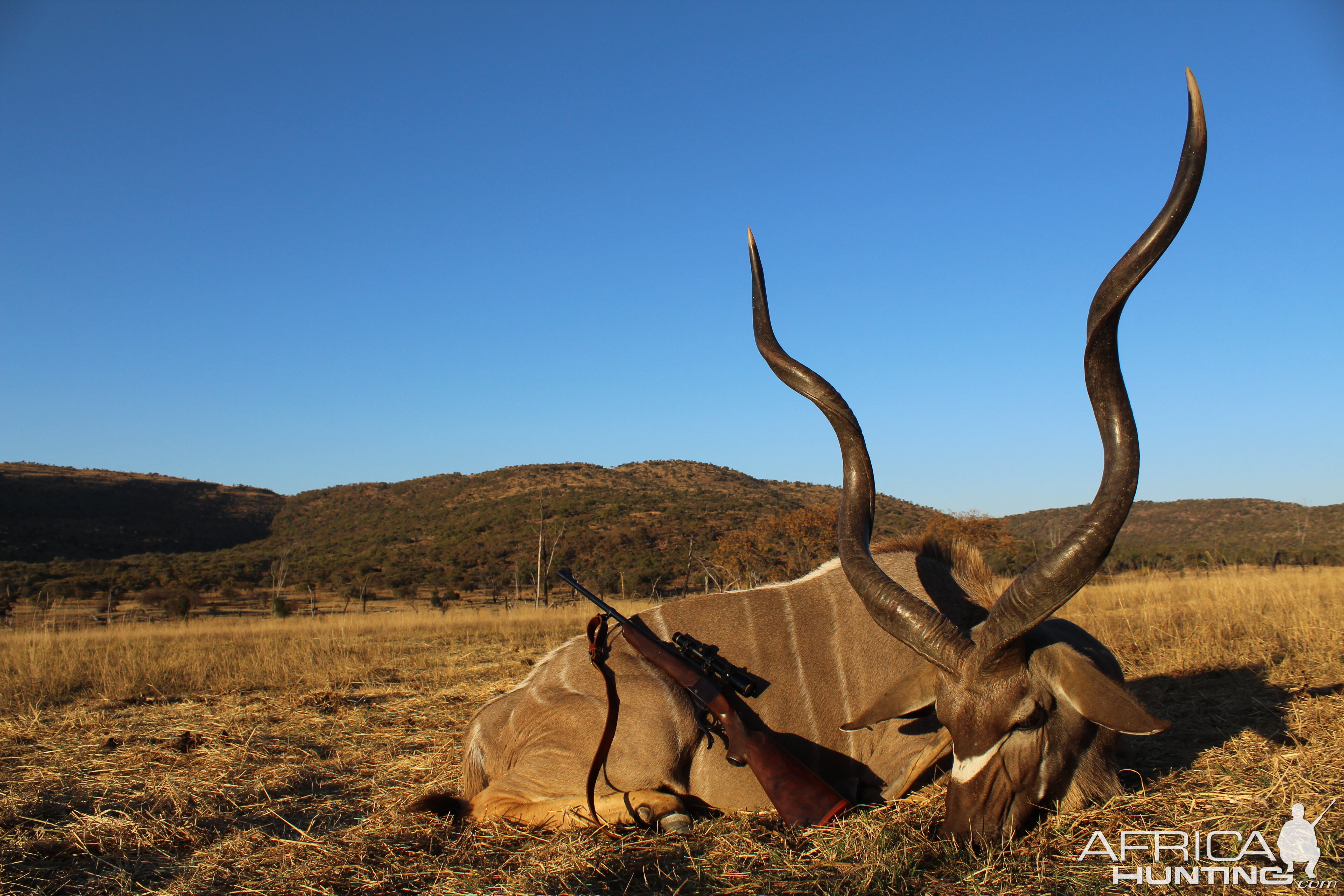 Kudu Hunting