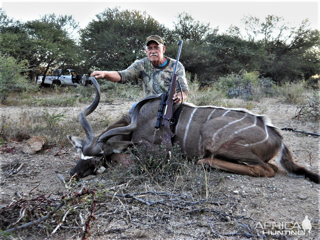 kudu in botswana