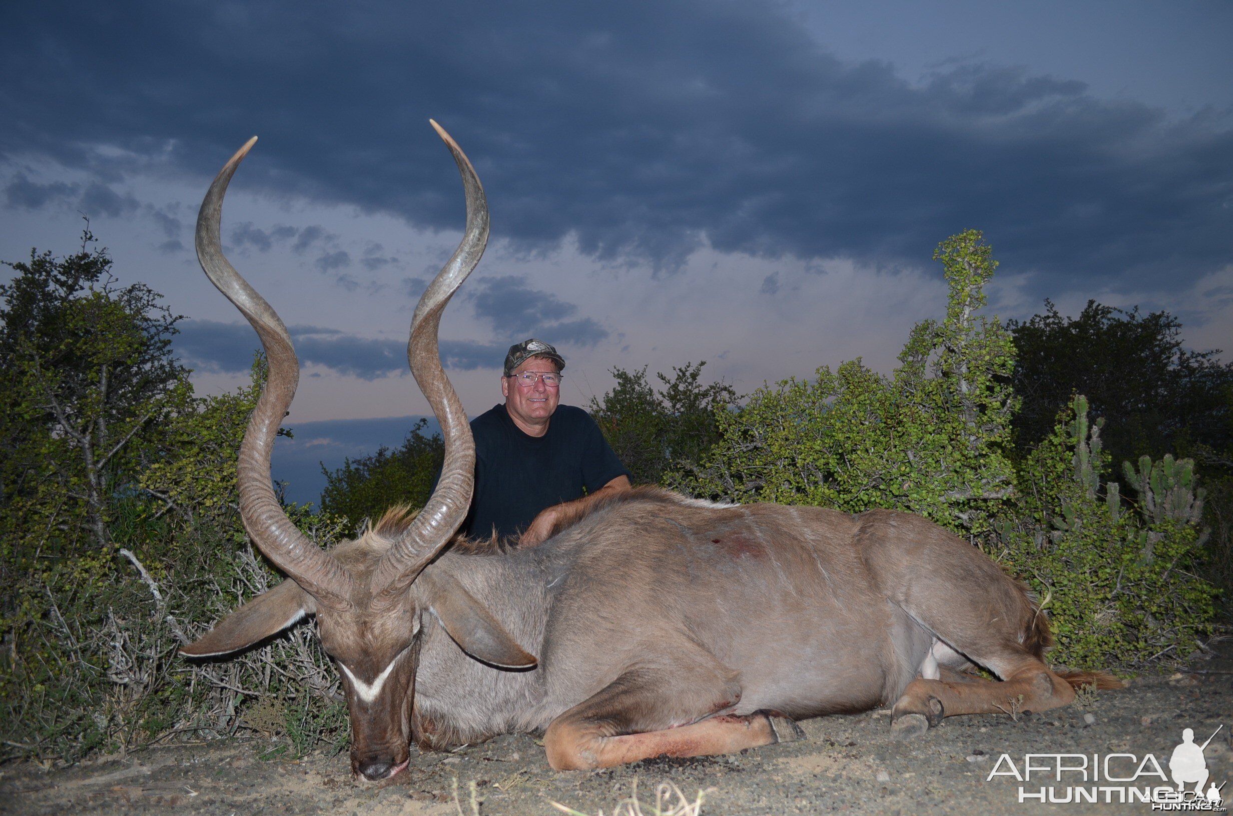 Kudu KMG Hunting Safaris