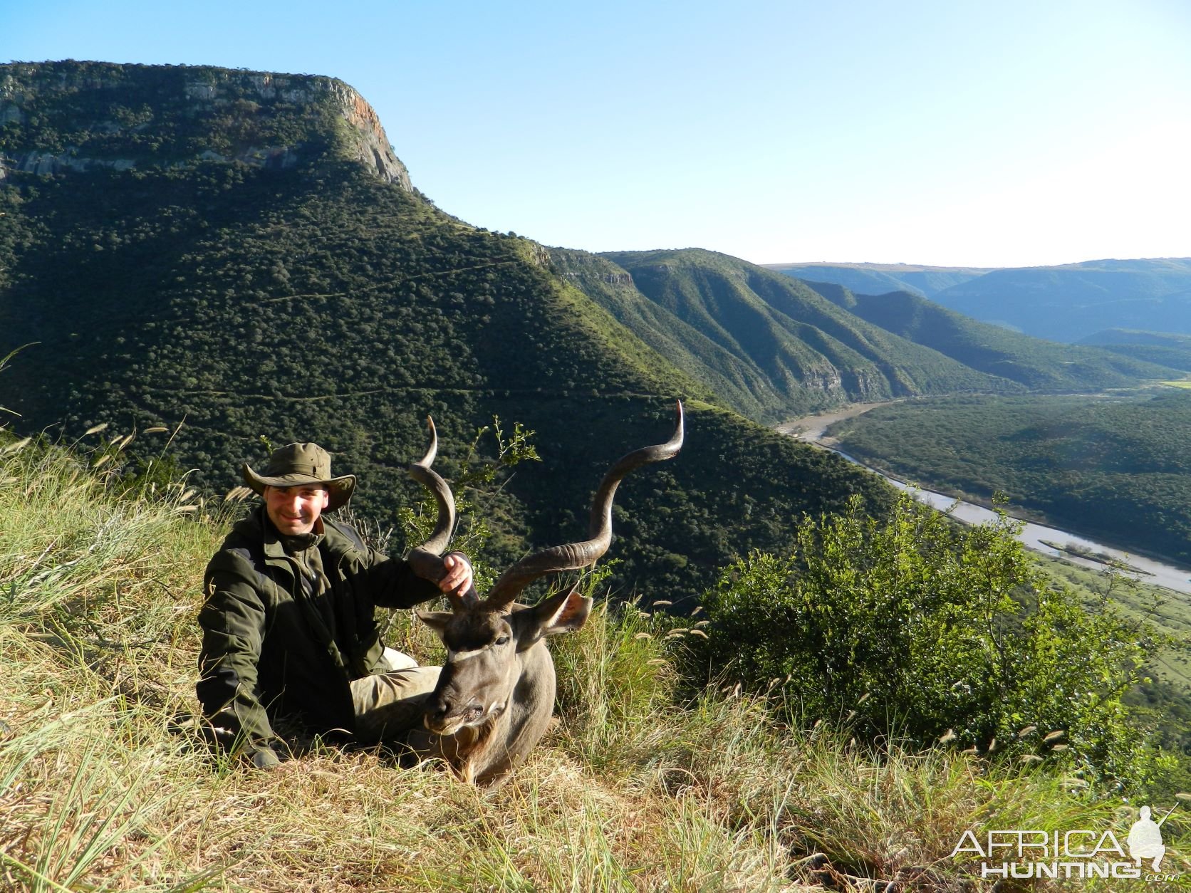 Kudu Like Green Hills Of Africa