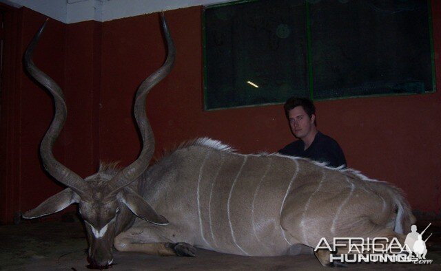 Kudu Limpopo South Africa