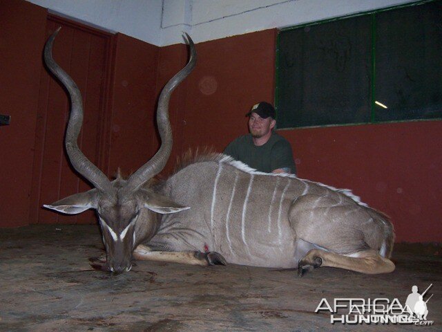 Kudu Limpopo South Africa