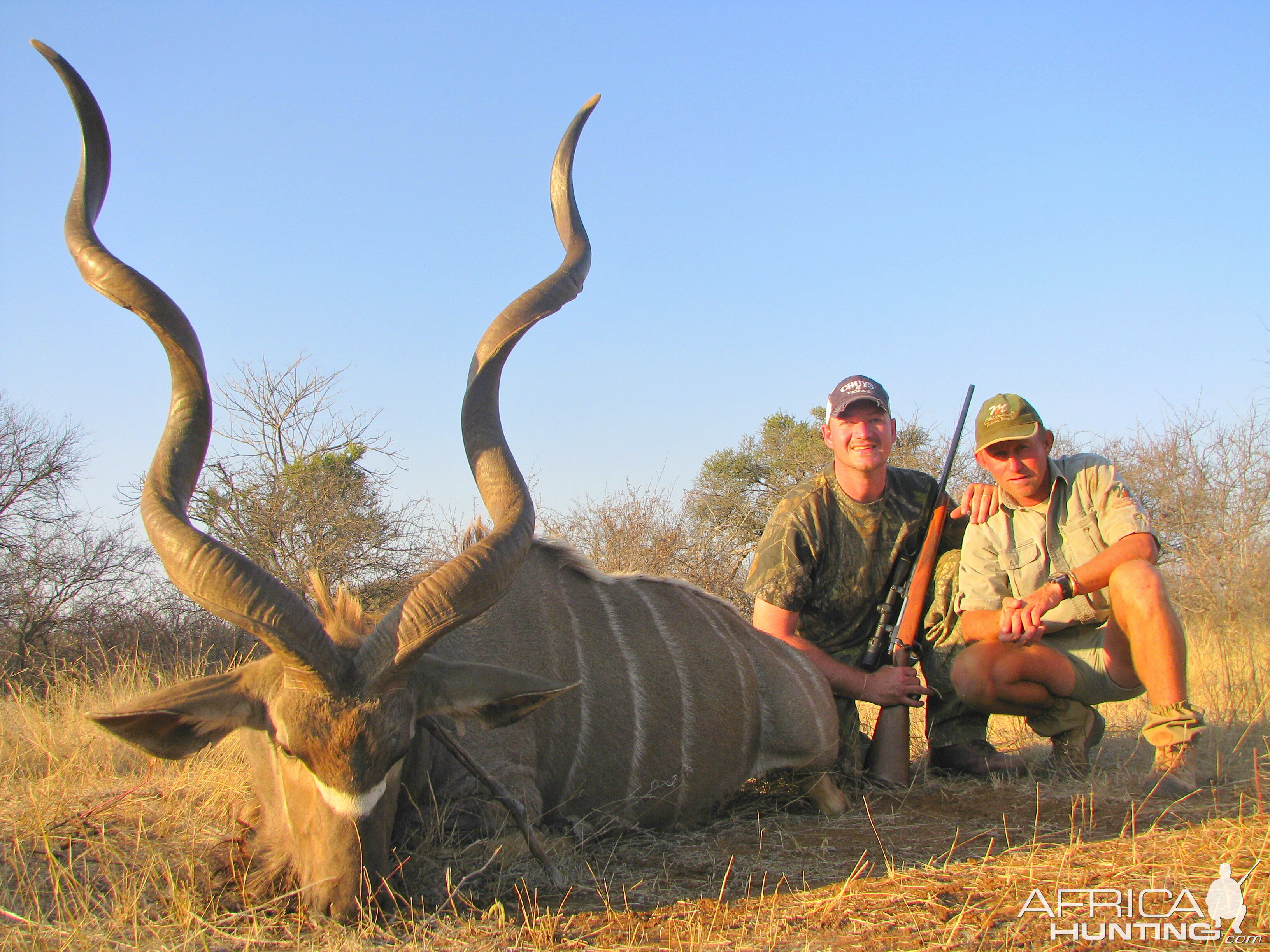 Kudu ~ Limpopo Valley, South Africa