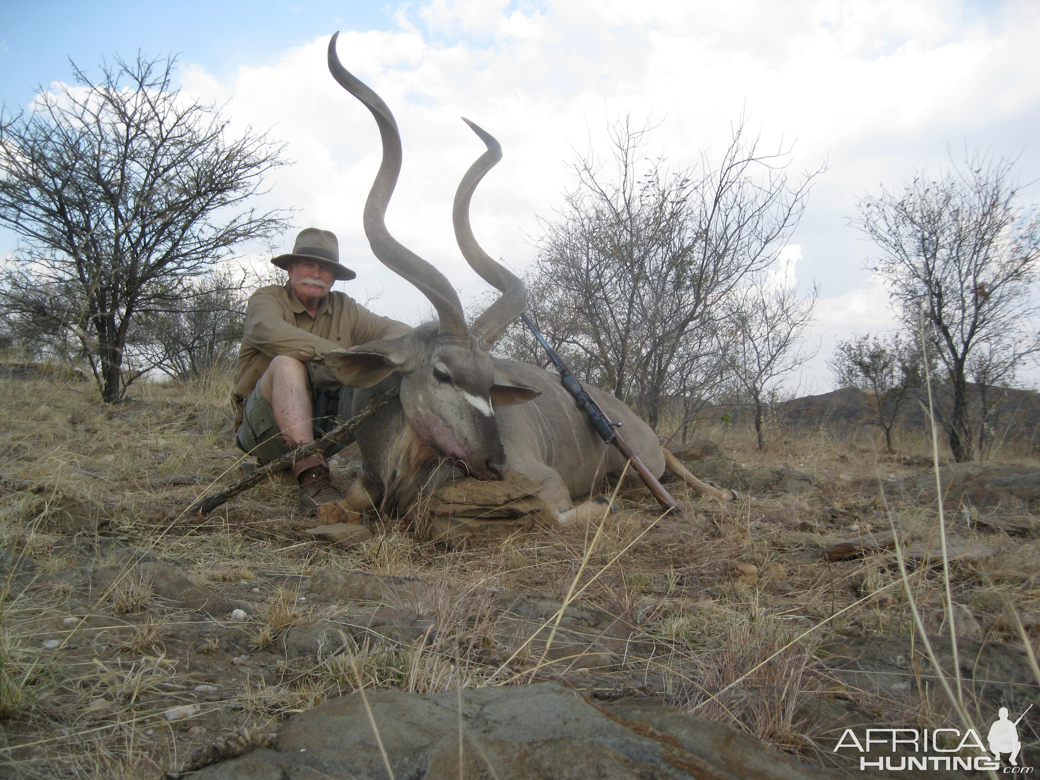 Kudu Namibia Hunting