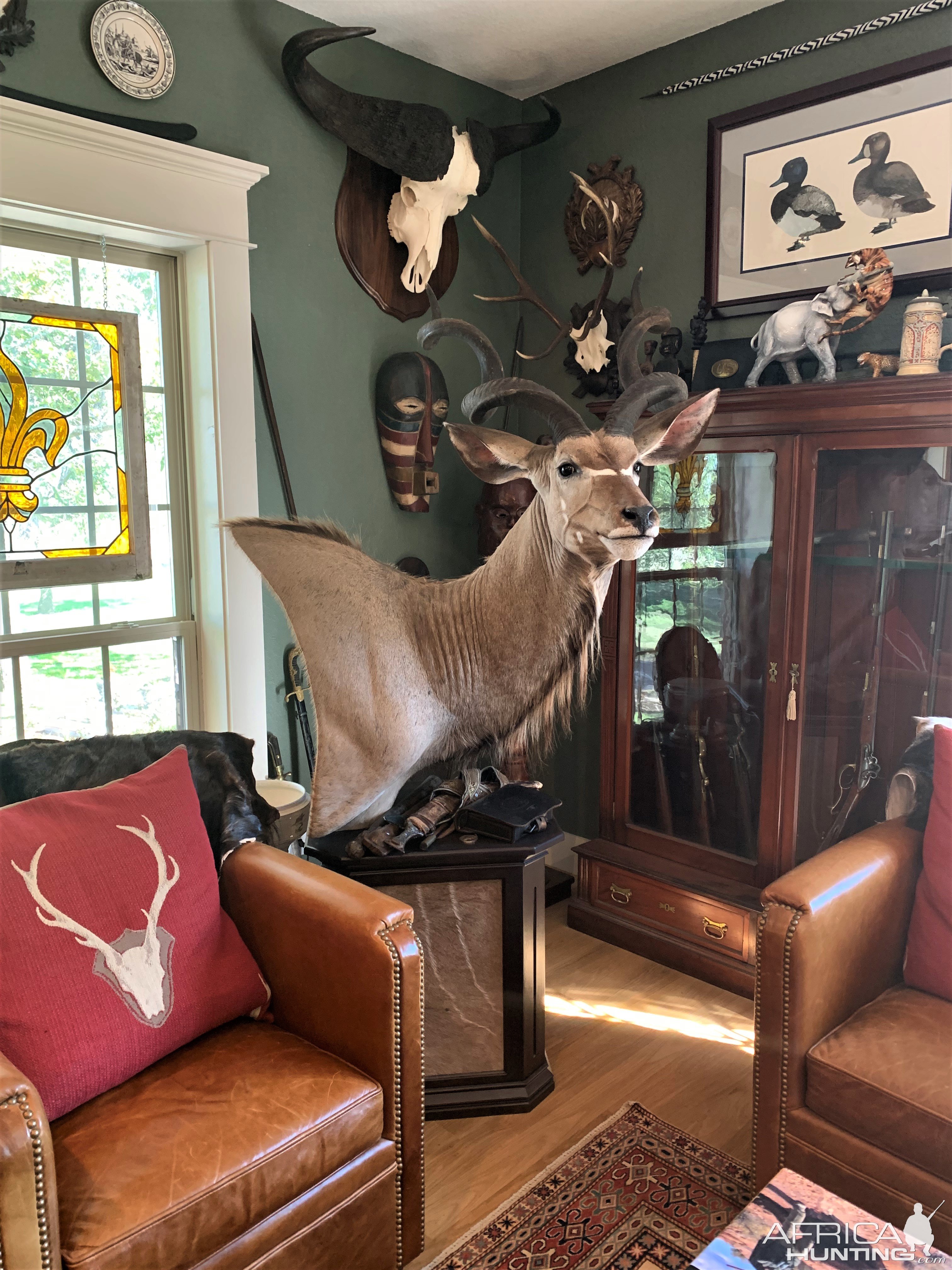 Kudu Pedestal Mount Taxidermy