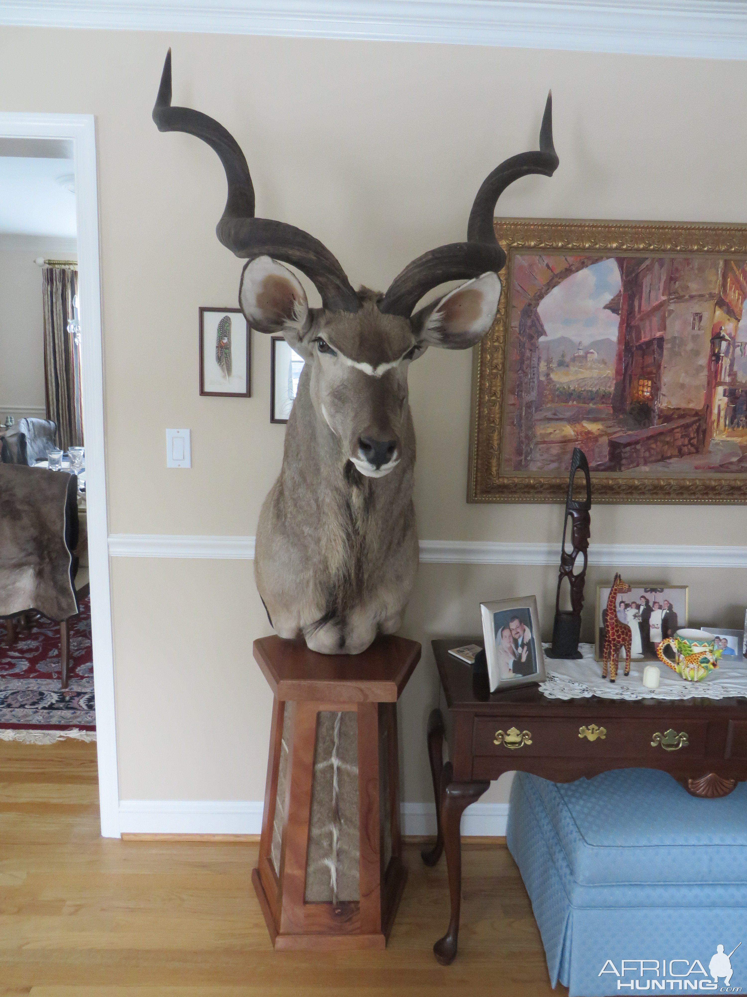 Kudu Pedestal Mount Taxidermy