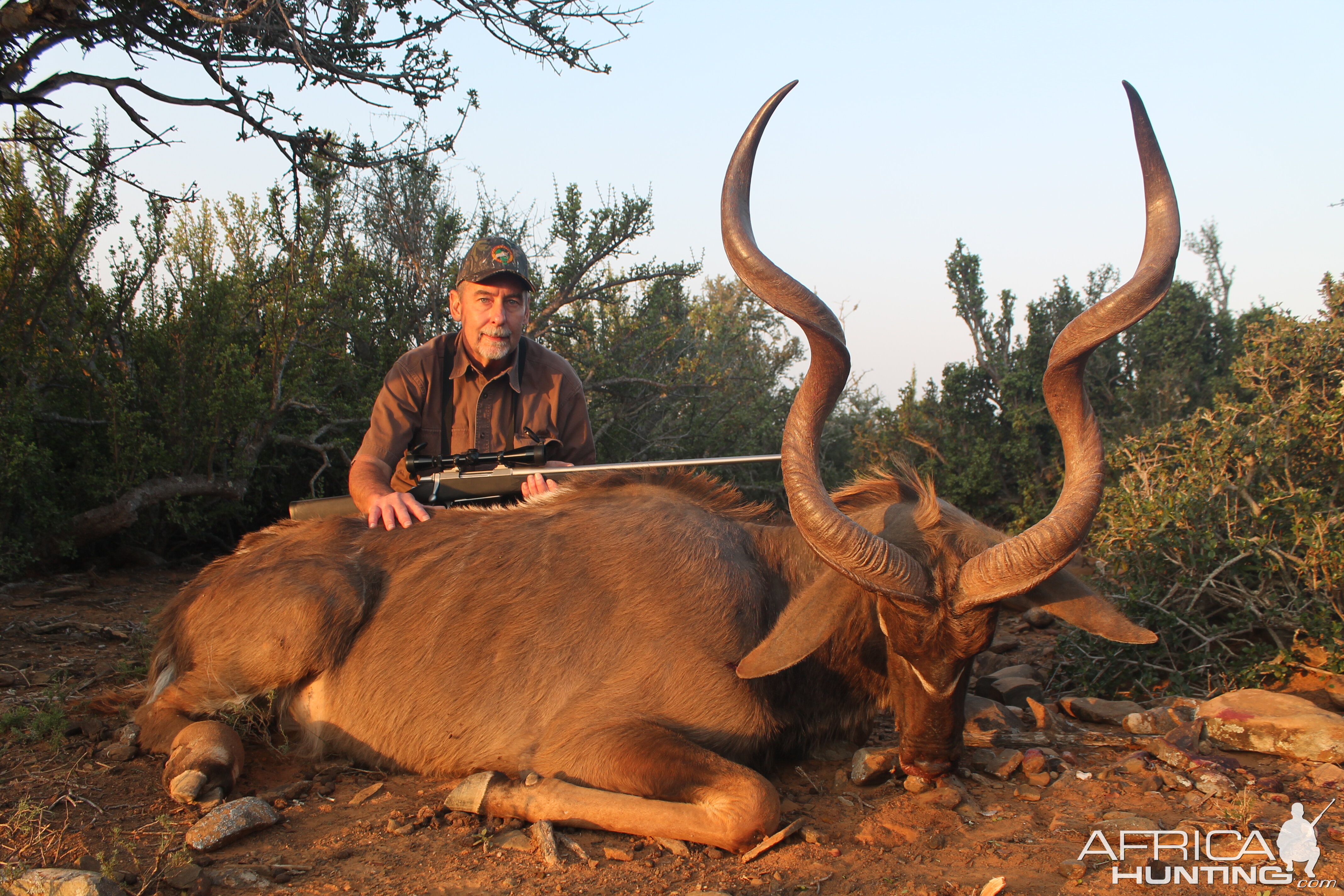 Kudu South Africa Hunting