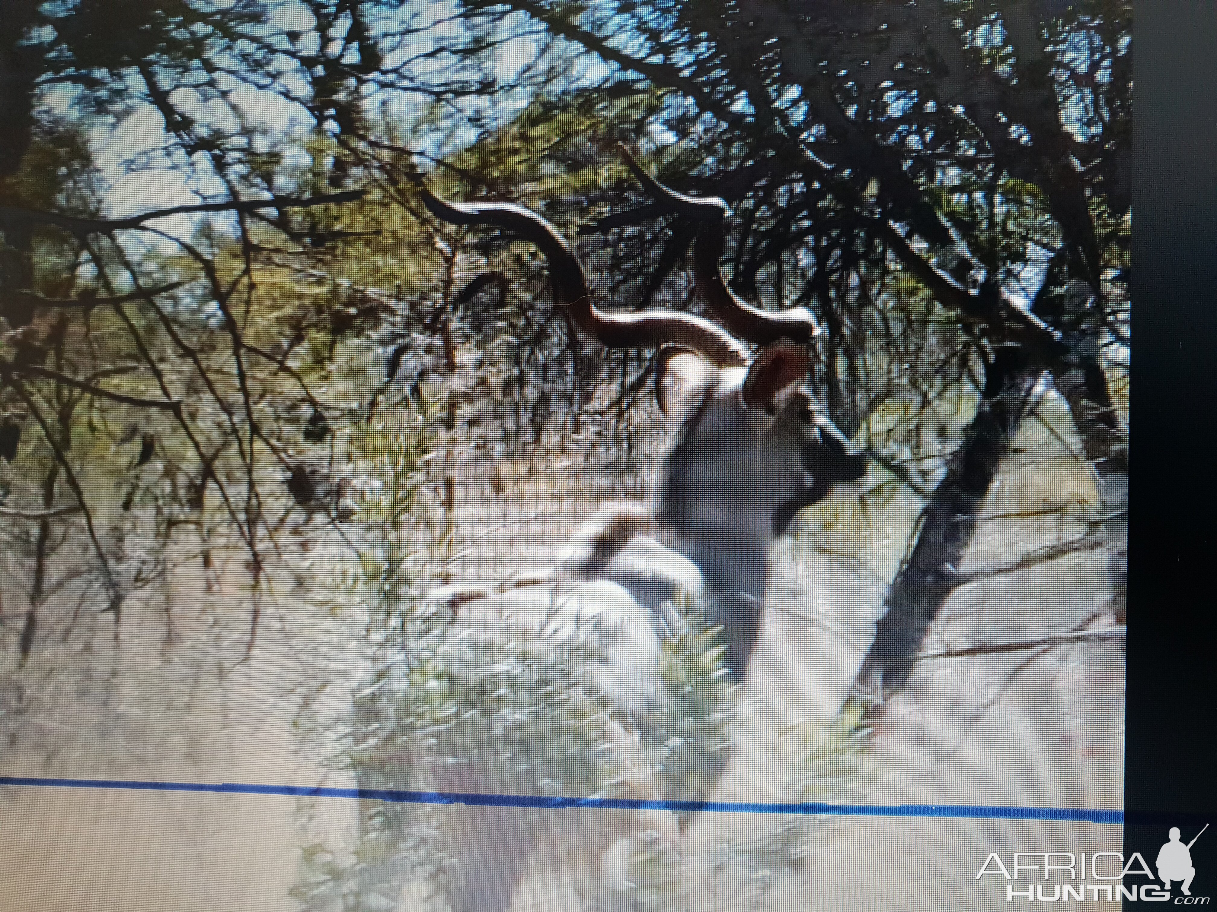 Kudu South Africa