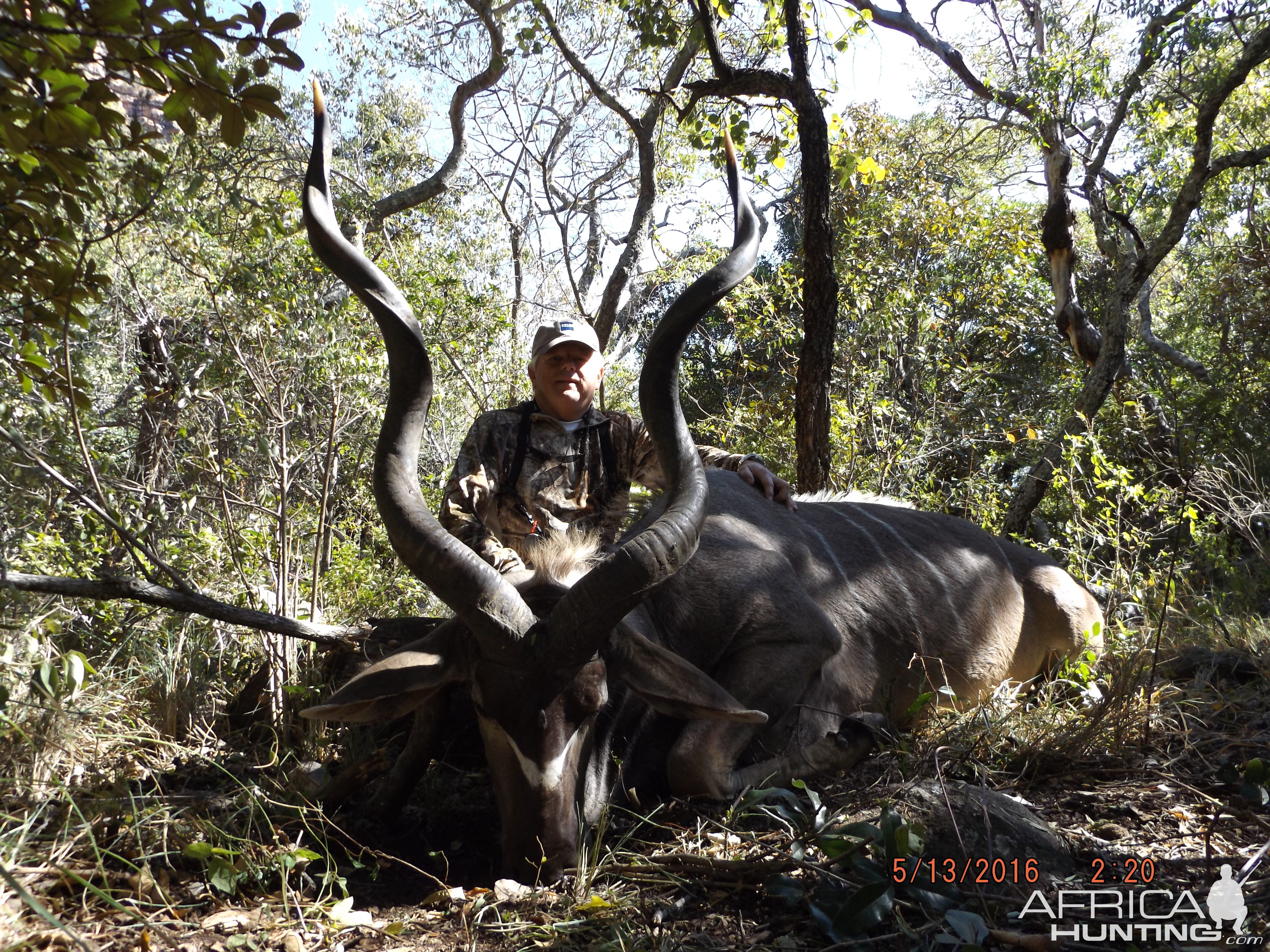 Kudu    taken   Steve Bosang- with   O.M. Wettstein  Safaris