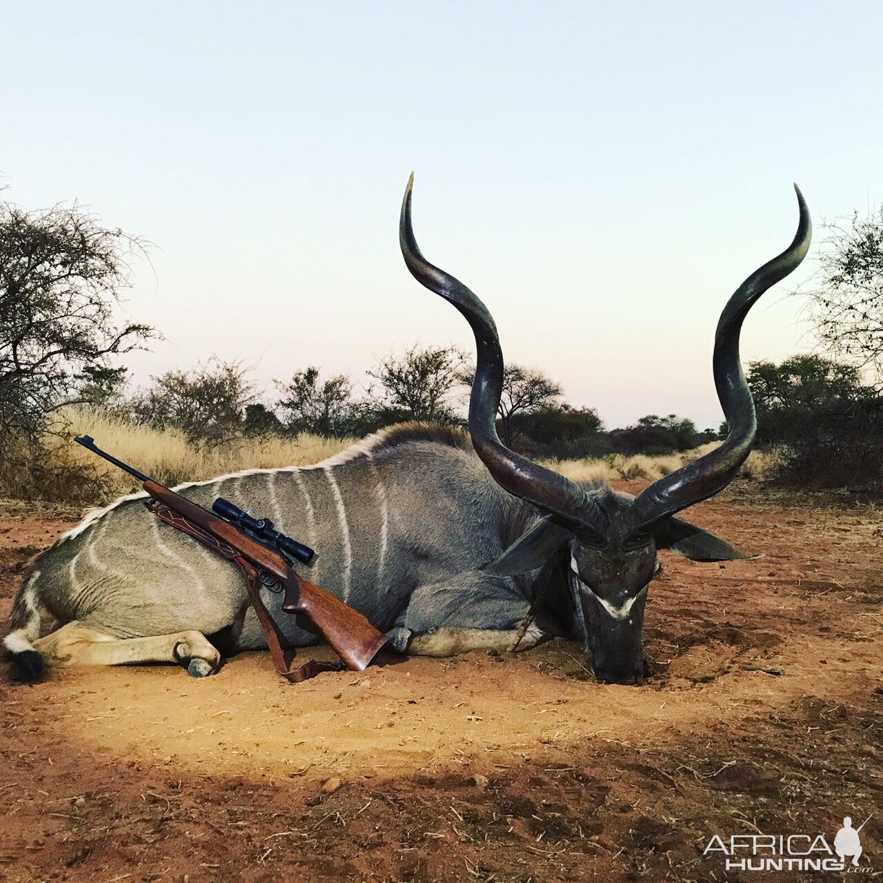 Kudu Trophy