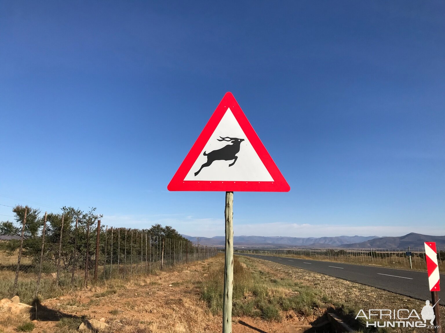 Kudu Warning Sign Board South Africa