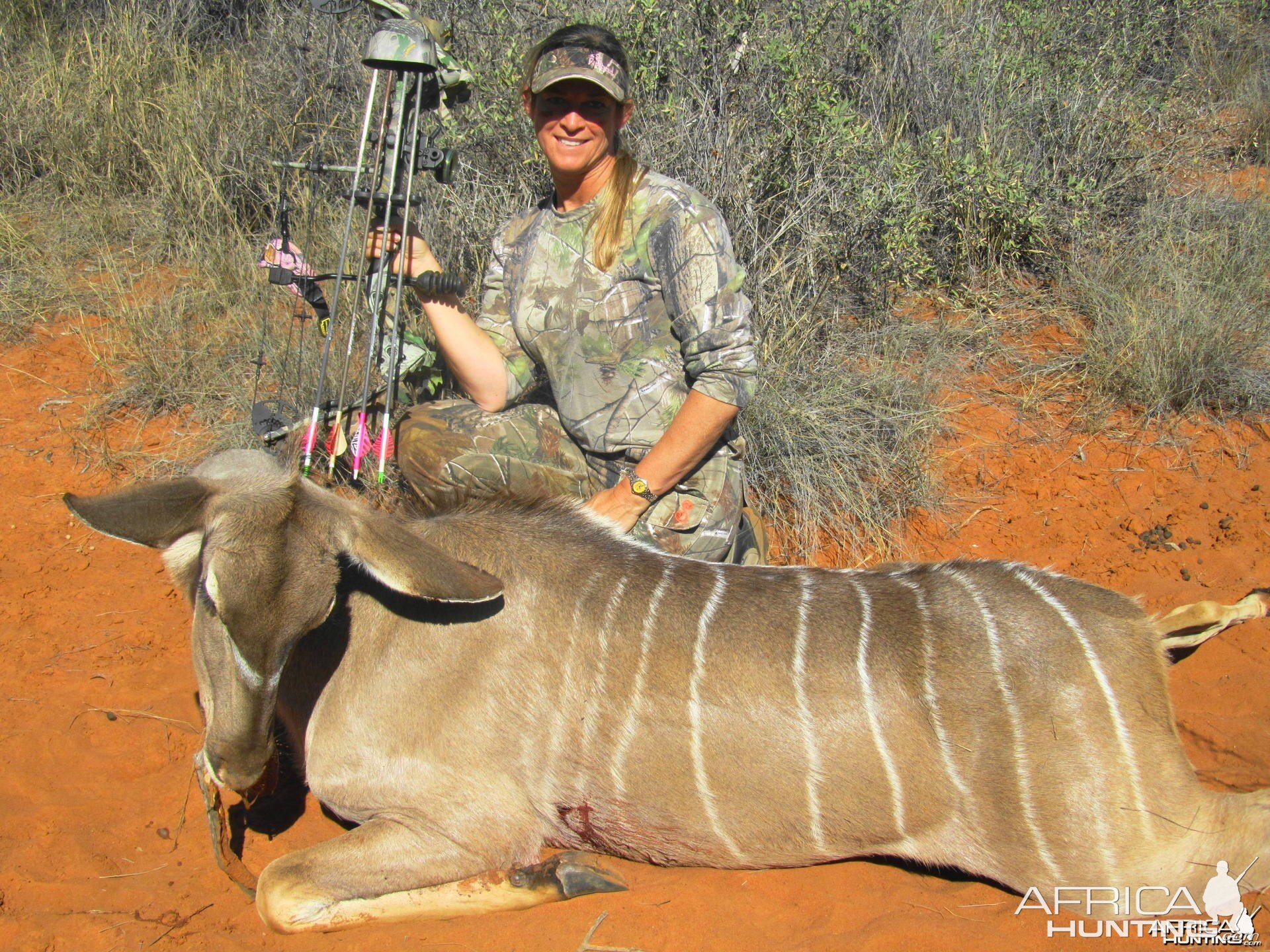 Kudu with Limcroma Safaris