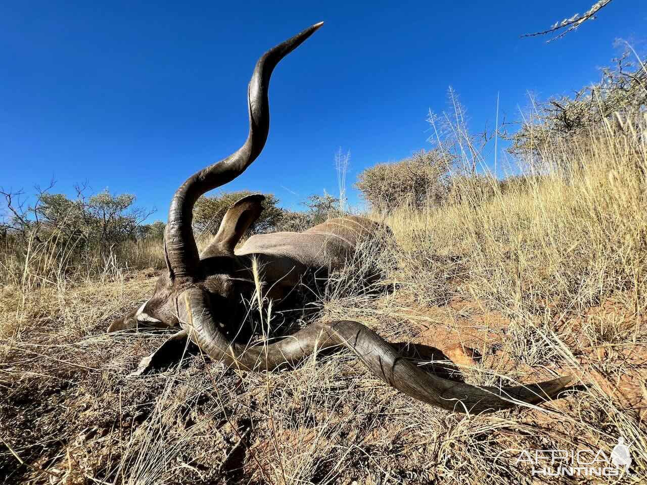 Kudu With Zana Botes Safari