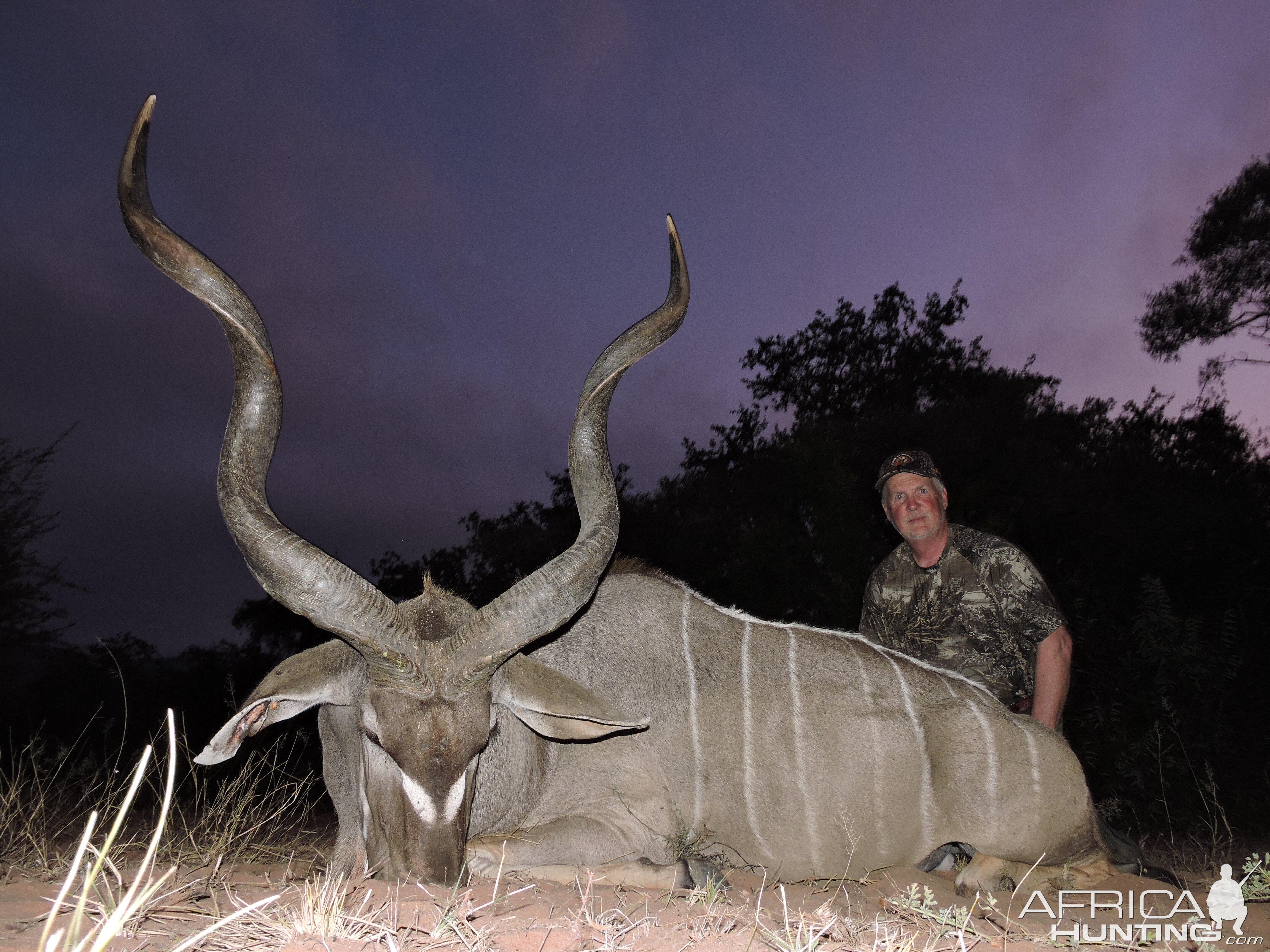 Kudu