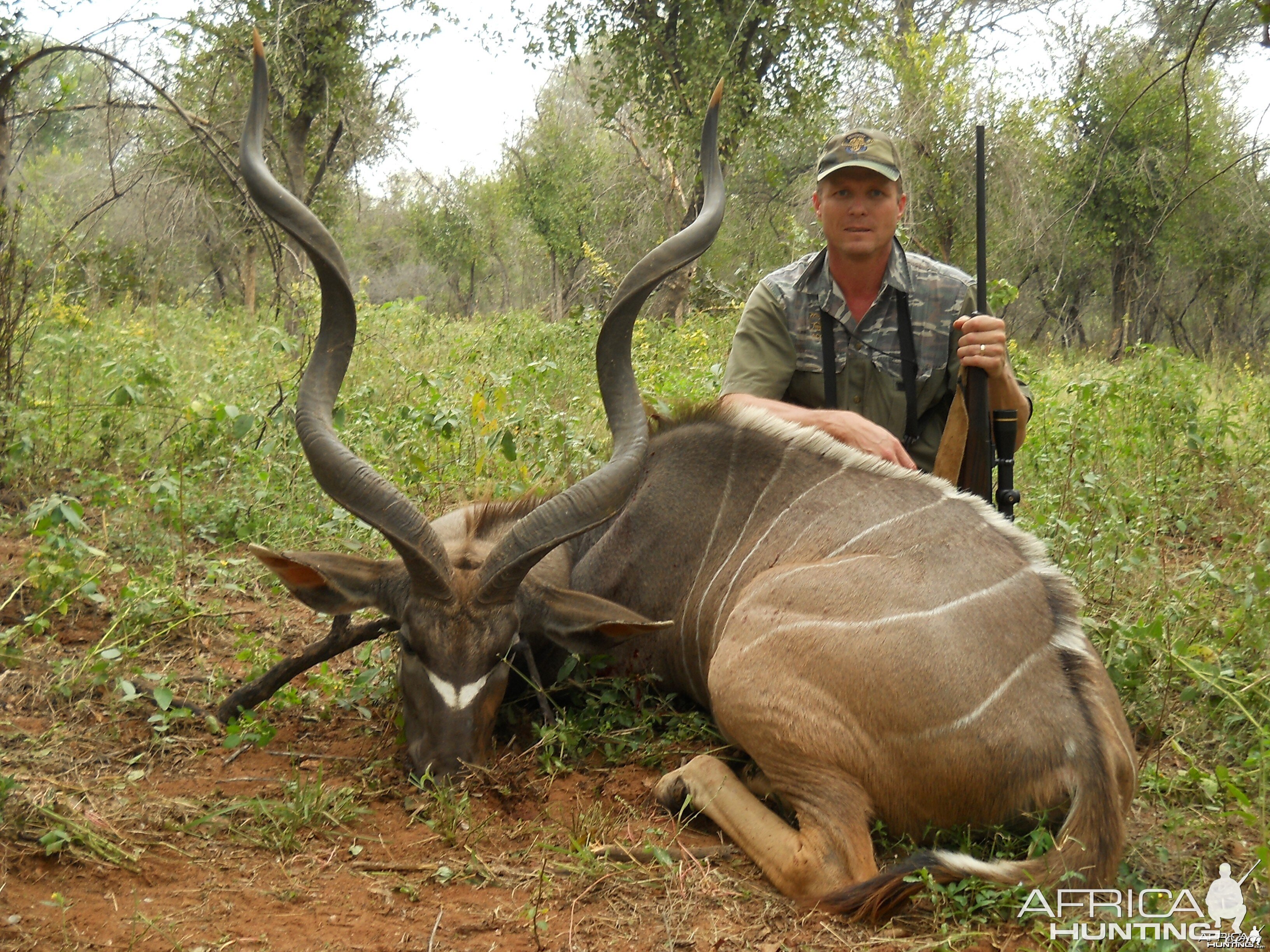 Kudu