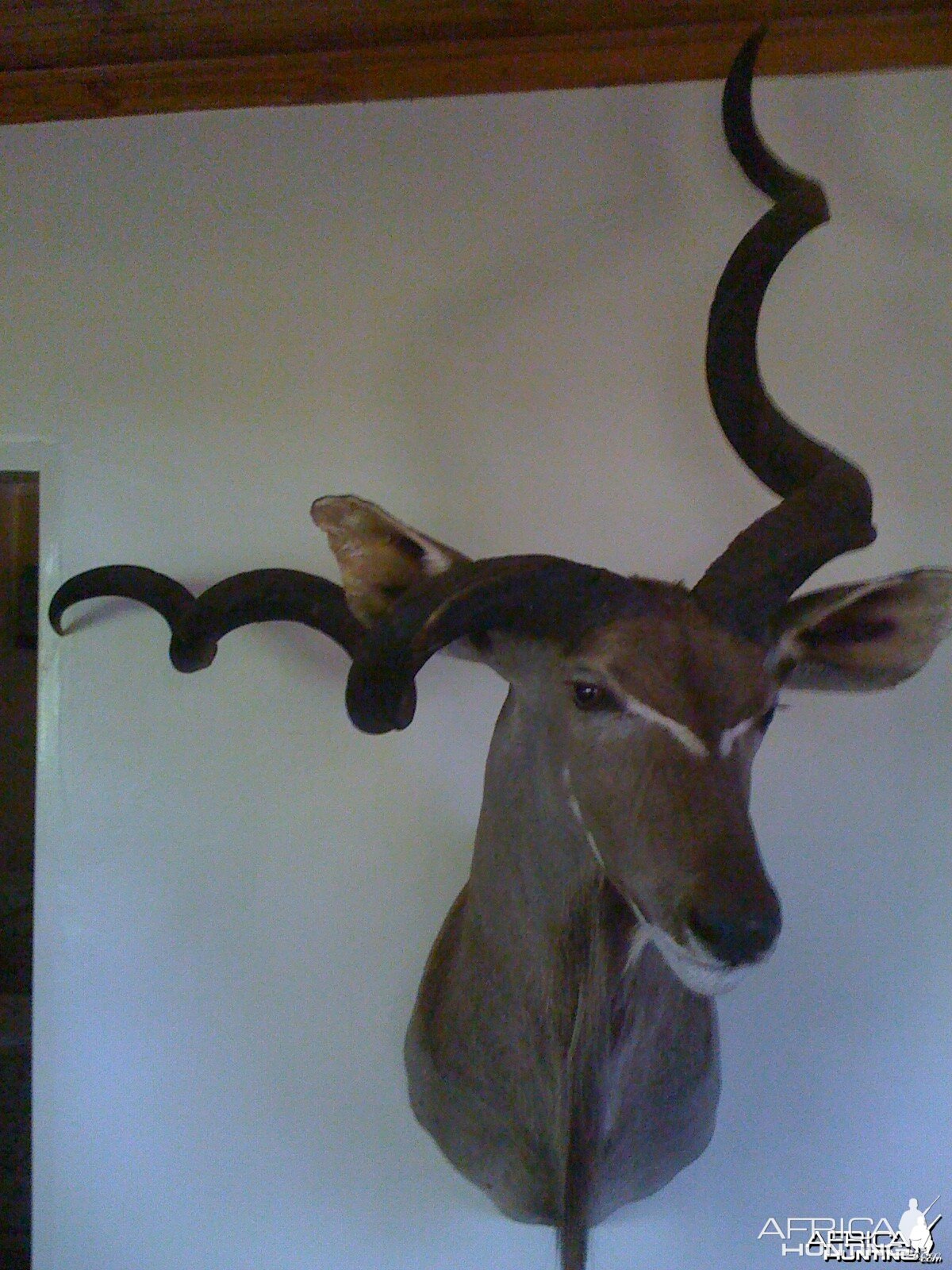 KUDU