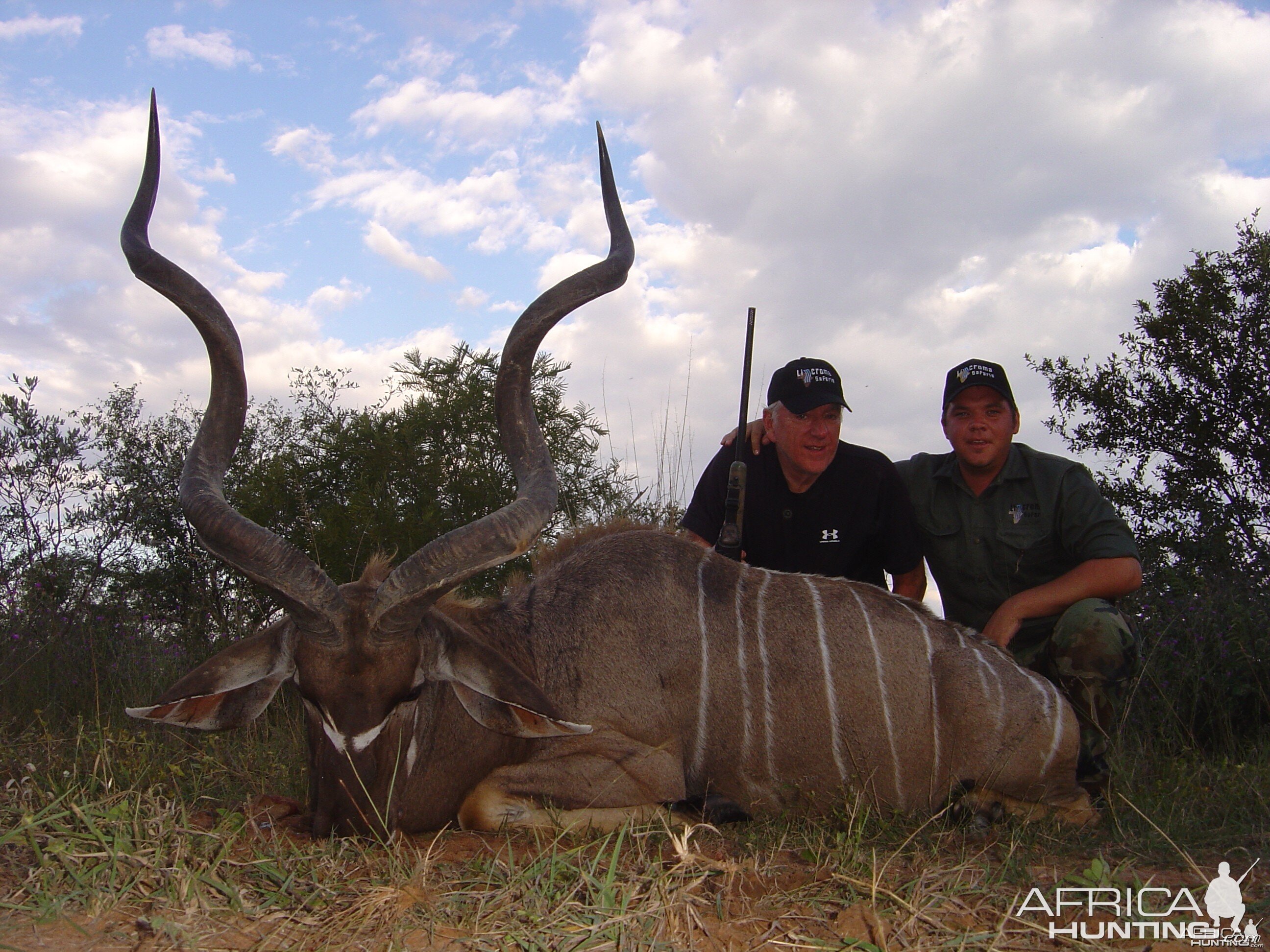 Kudu