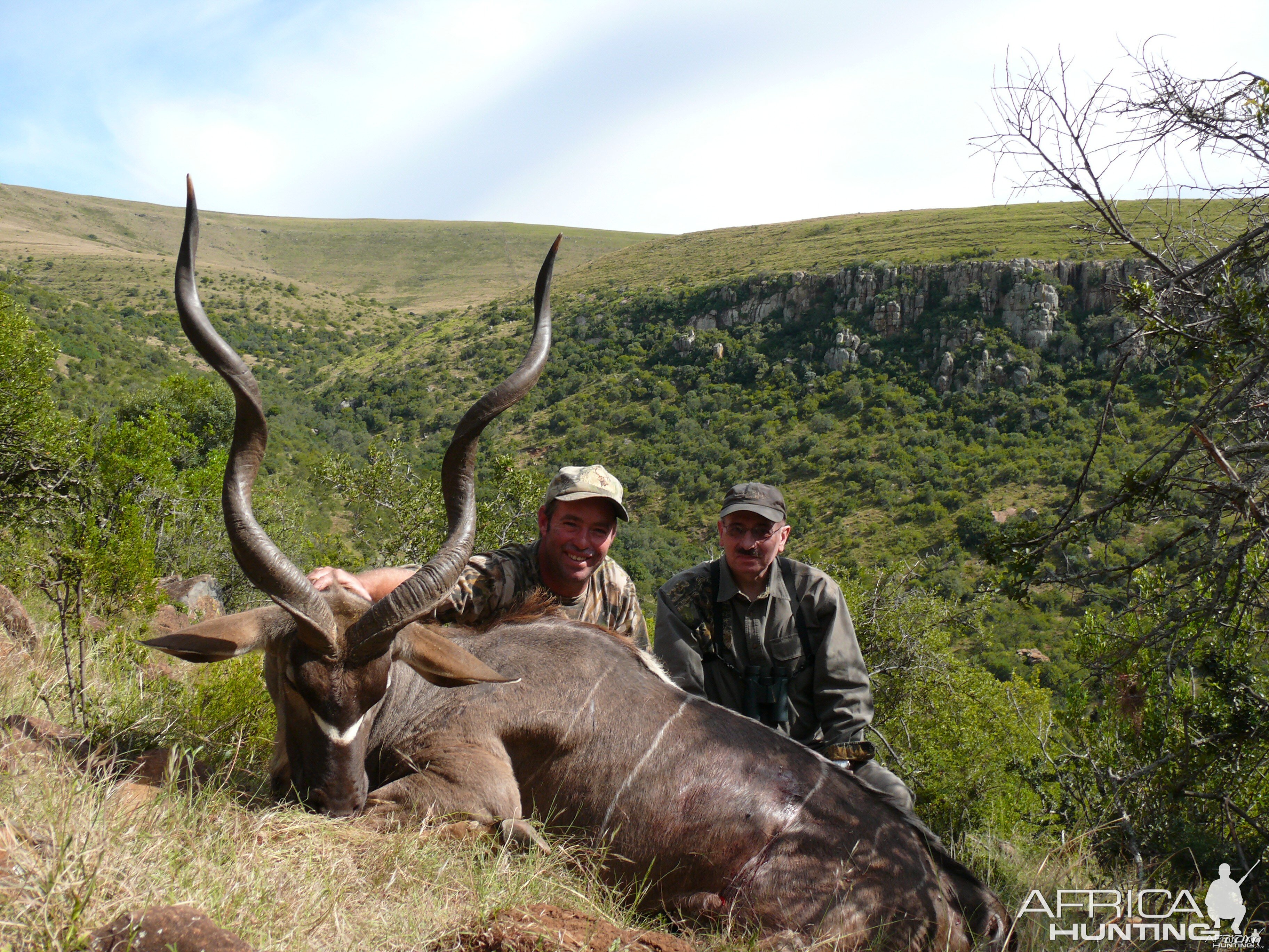 Kudu