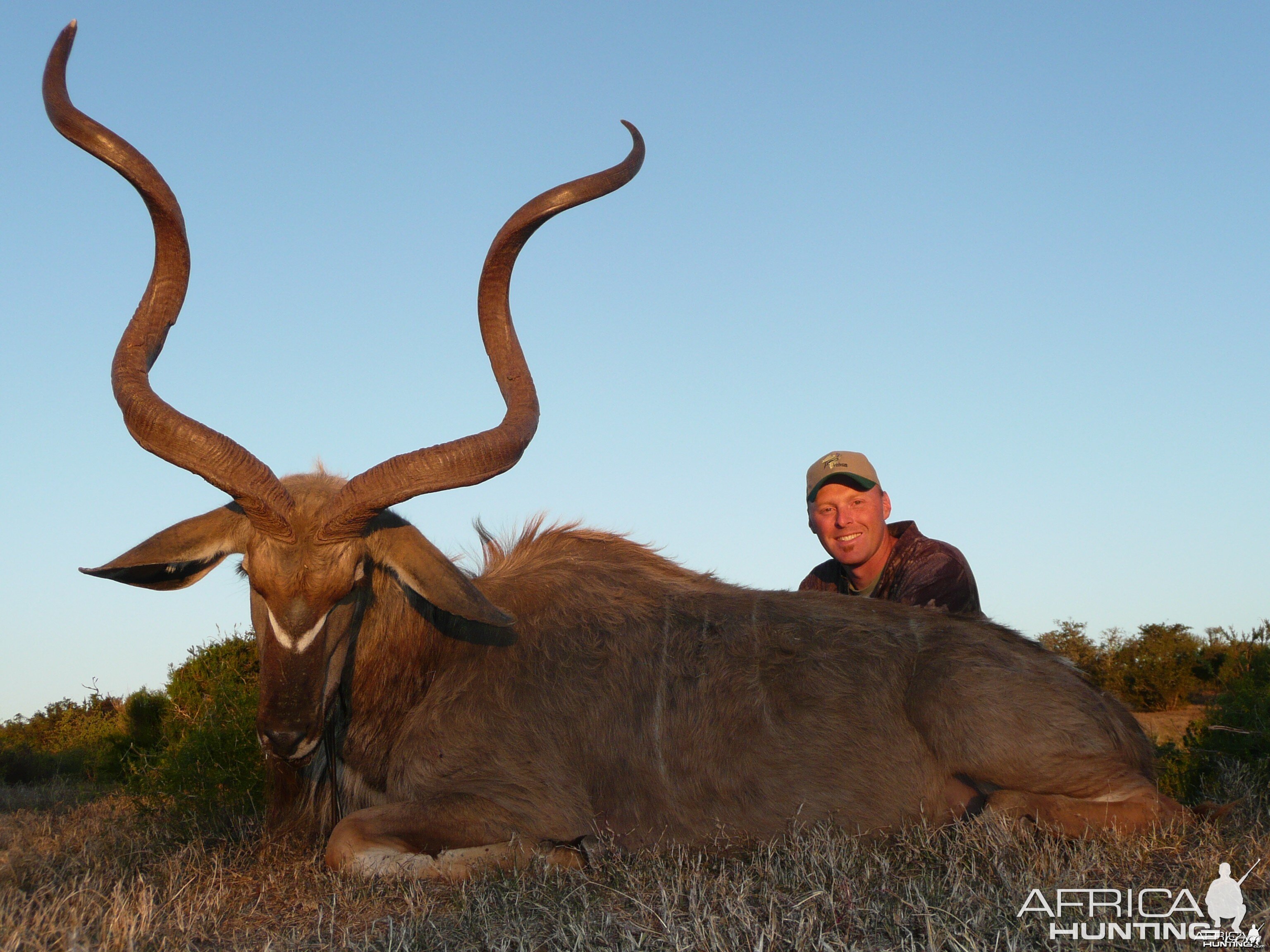 Kudu