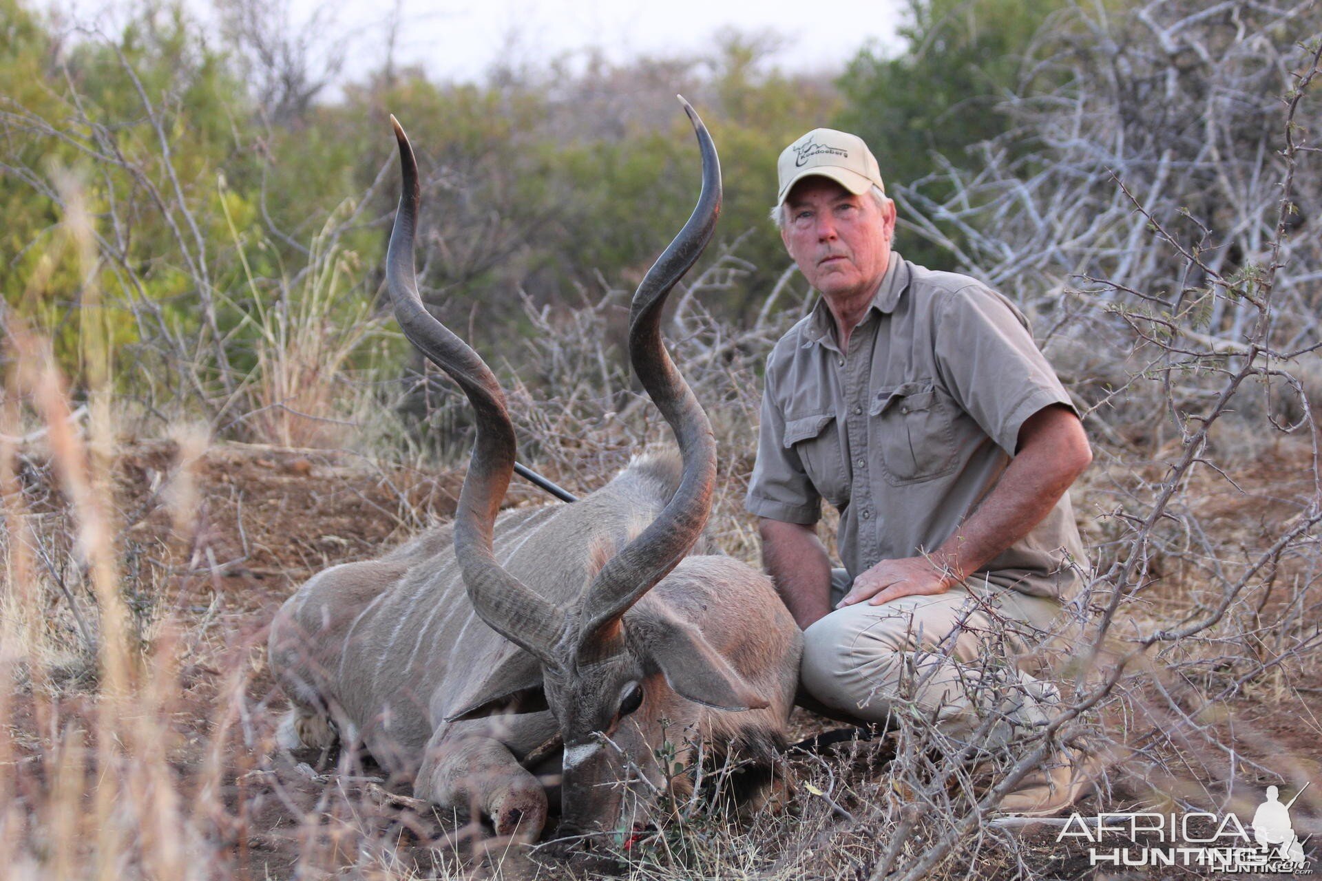 Kudu