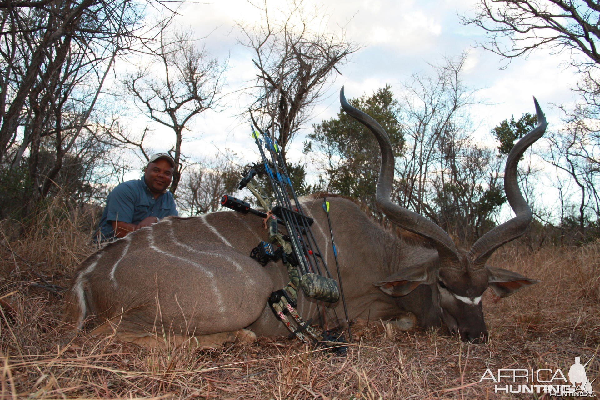 Kudu