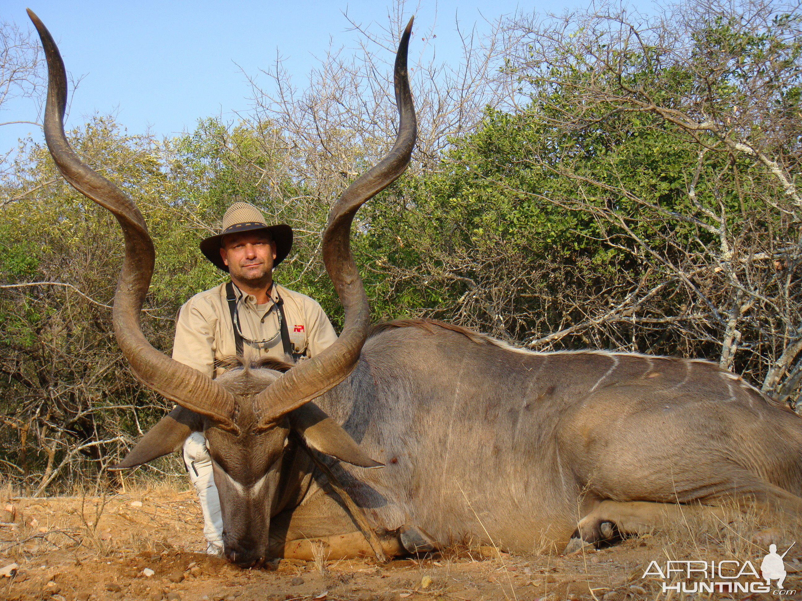 Kudu