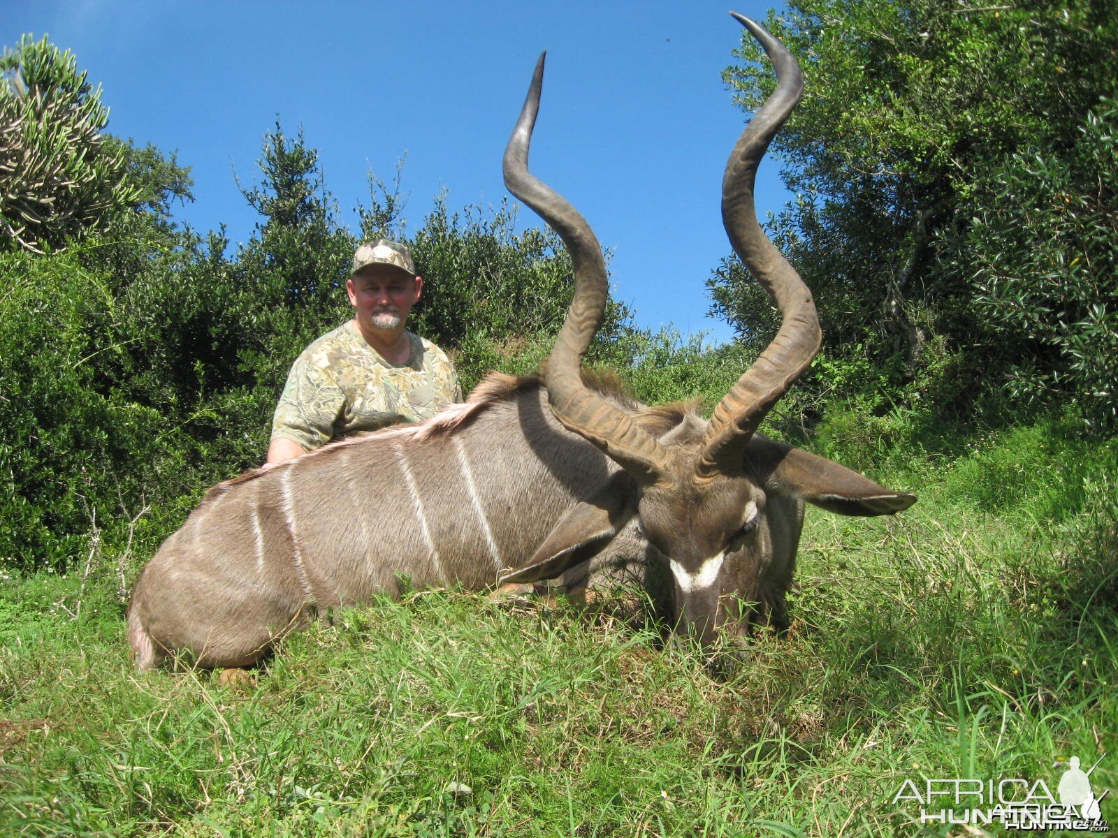 Kudu