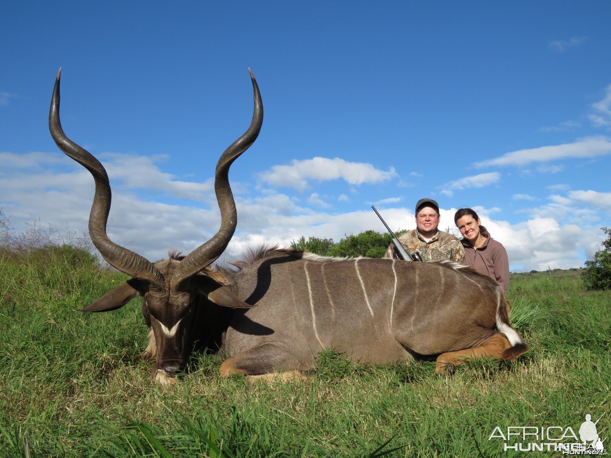 Kudu