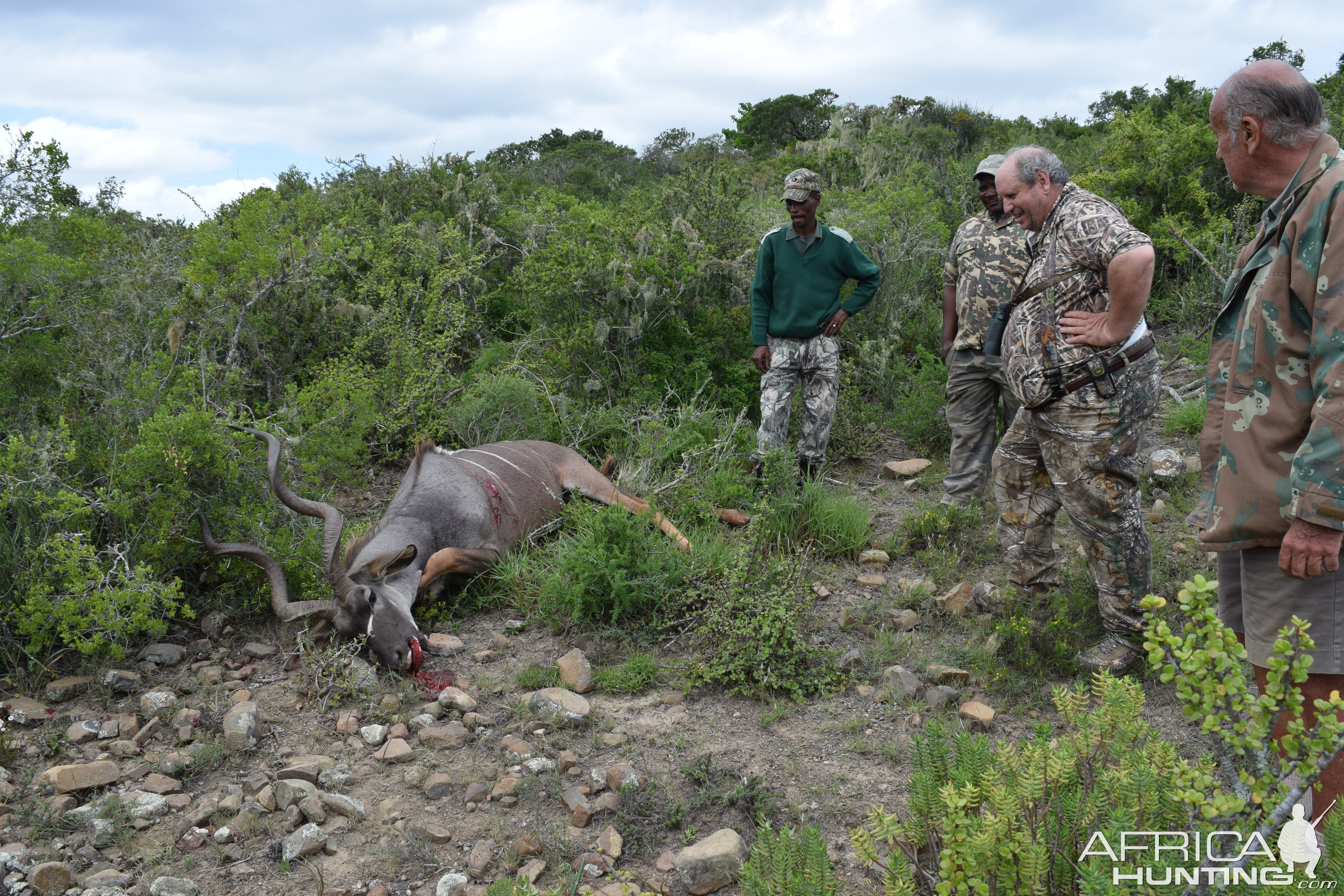 Kudu