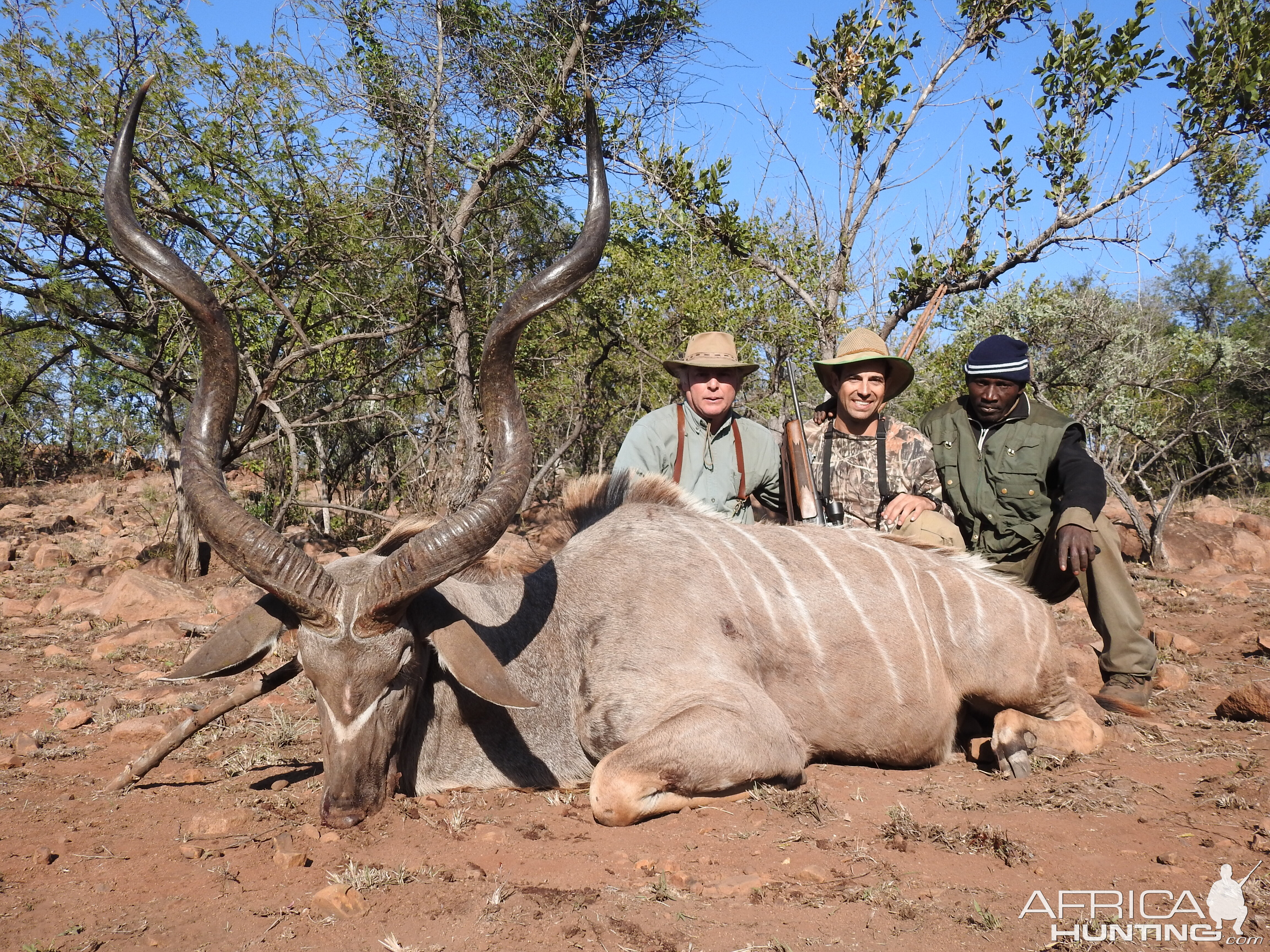 Kudu