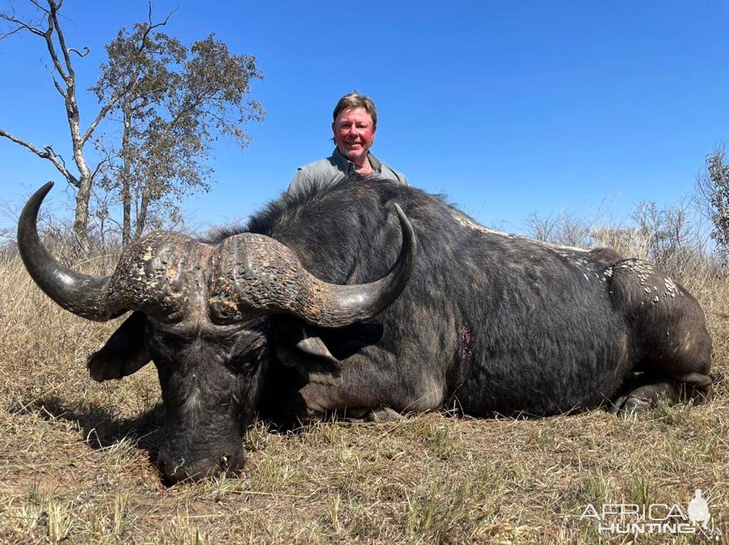 Kwalata Safaris Cape buffalo 2022