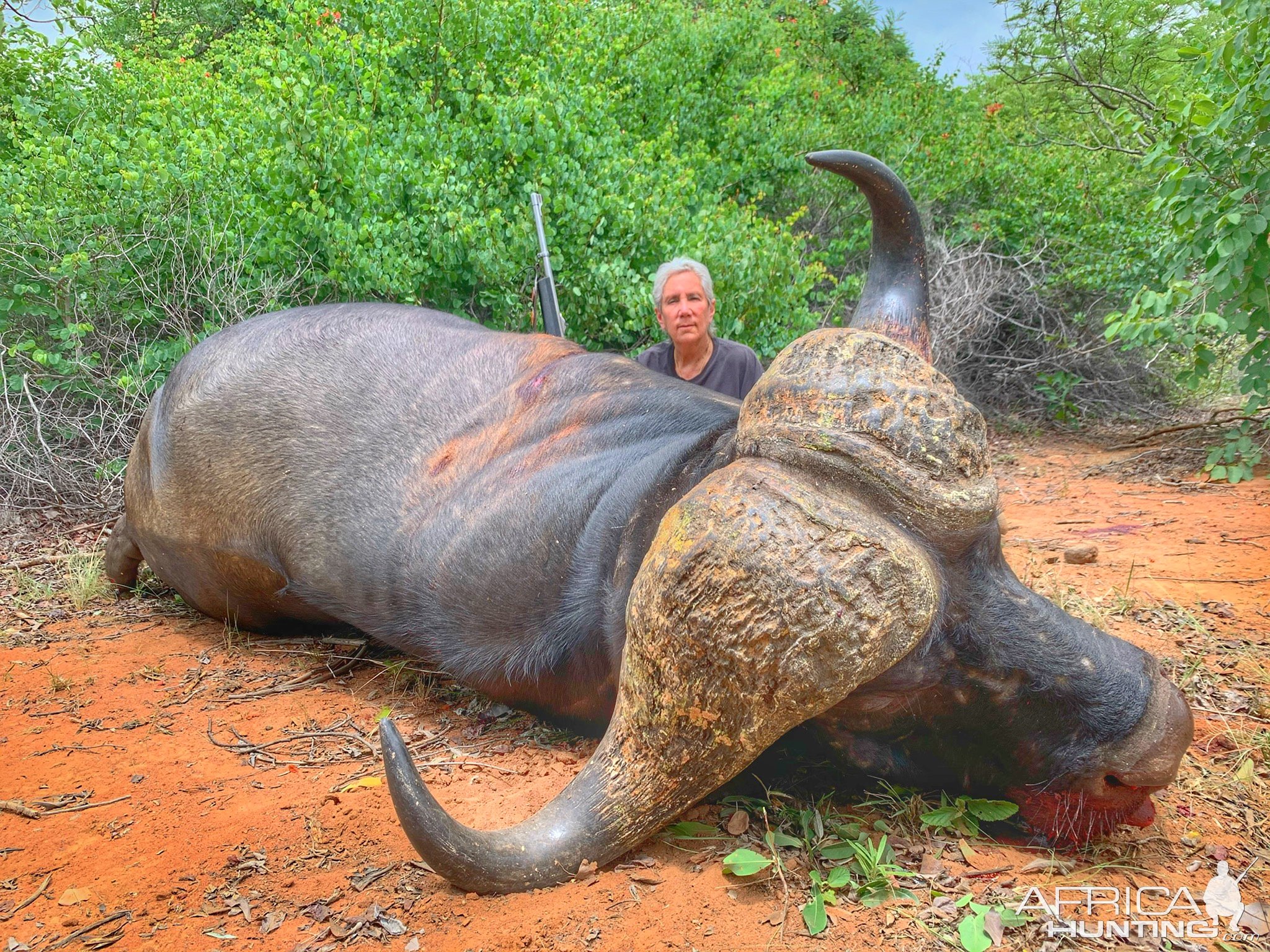 Kwalata Safaris Cape Buffalo Mozambique, 2021