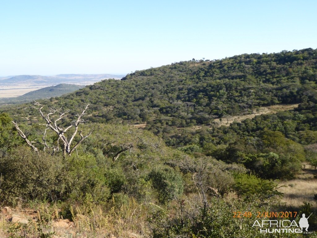 KwaZulu-Natal