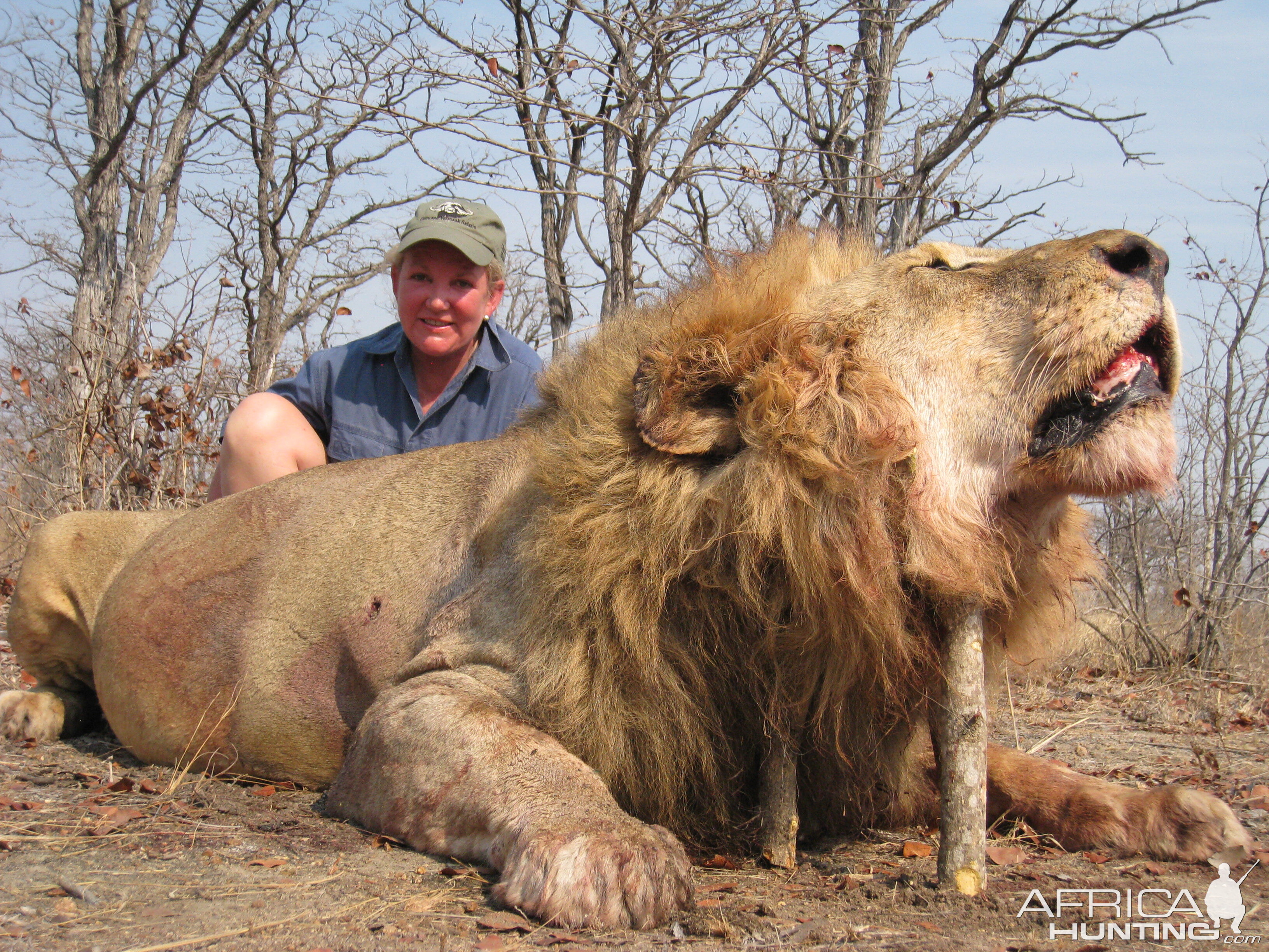 Lady Hunter and her wild free roaming Lion hunted walk and stalk, no baiting allowed.