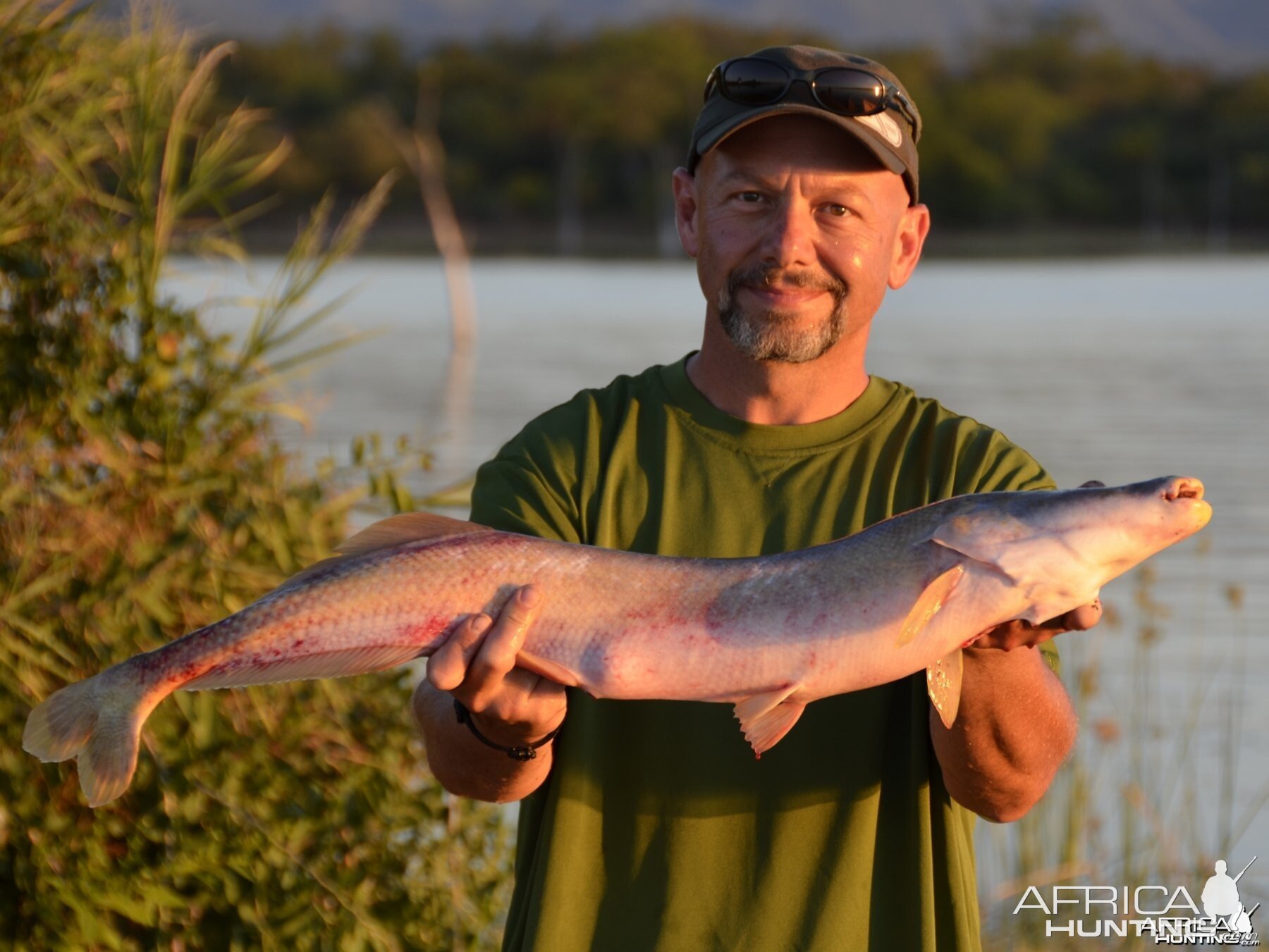 Lake Kariba Cornish Jack