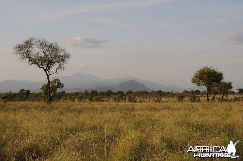 Landscape in Ethiopia