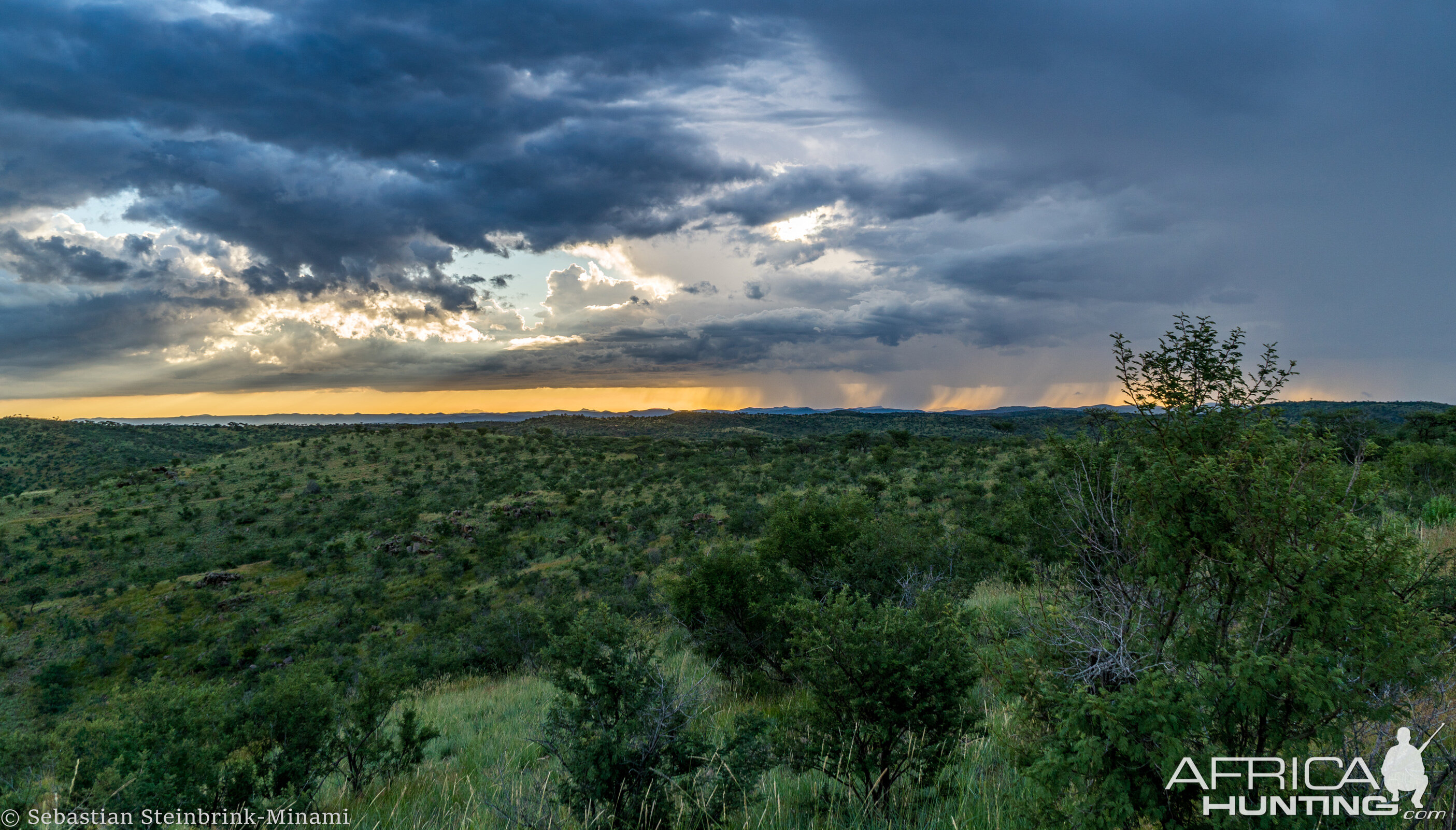 Landscape Namibia Nature