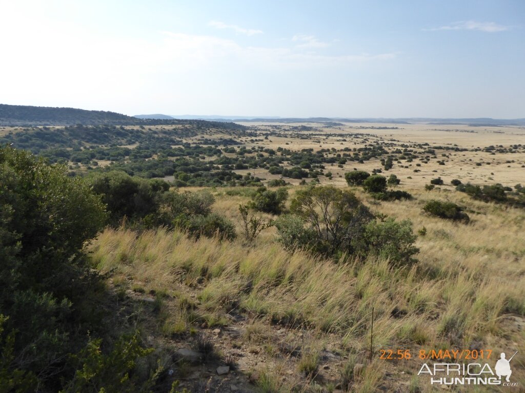 Landscape White Lion Safaris