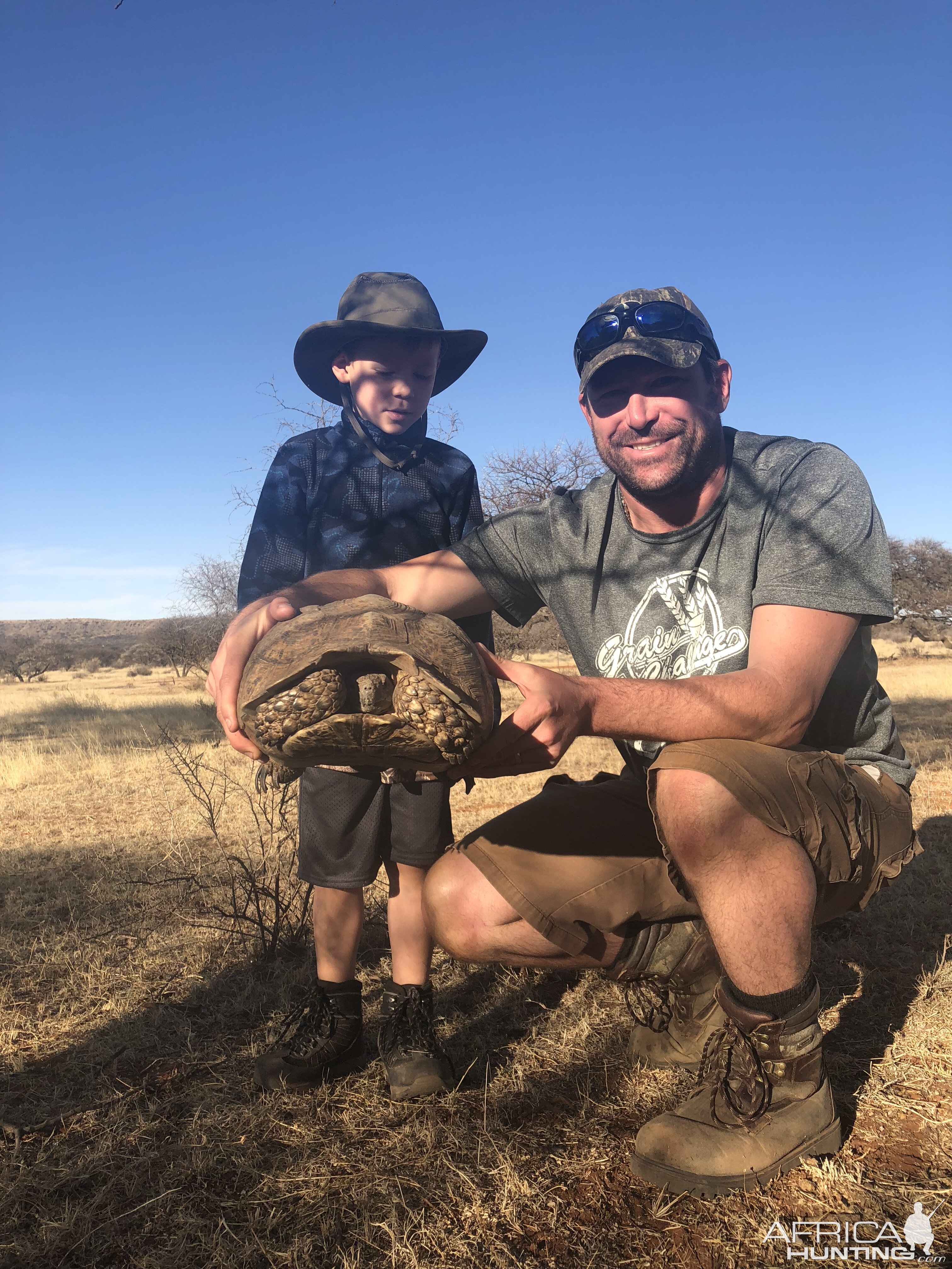 Large Tortoise South Africa