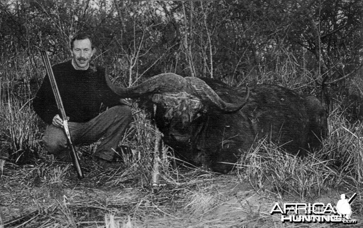 Largest cape buffalo taken in Uganda