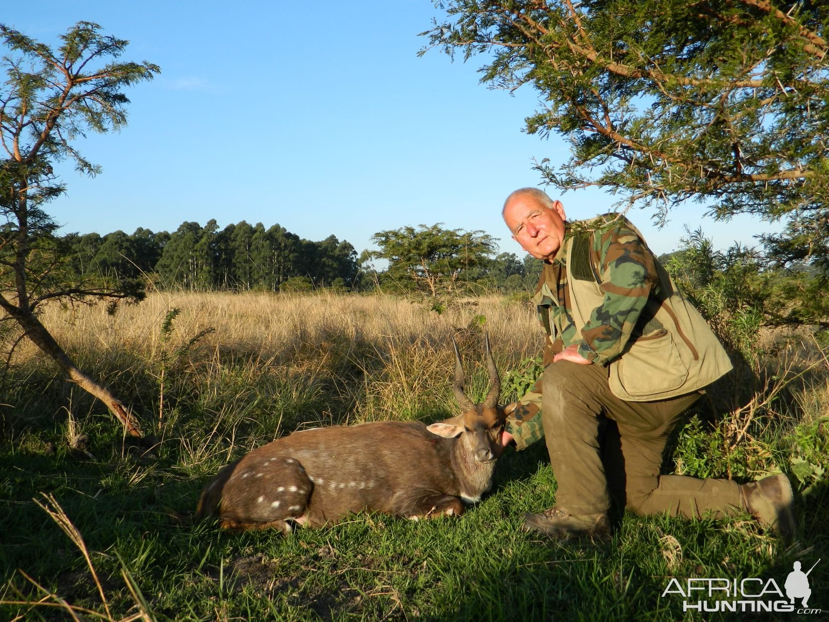 Last Evening Bushbuck Hunting